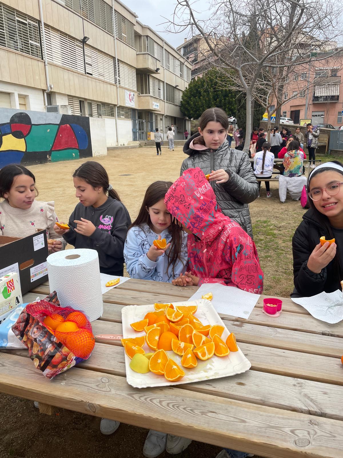 WhatsApp Image 2025-02-21 at 12.03.22