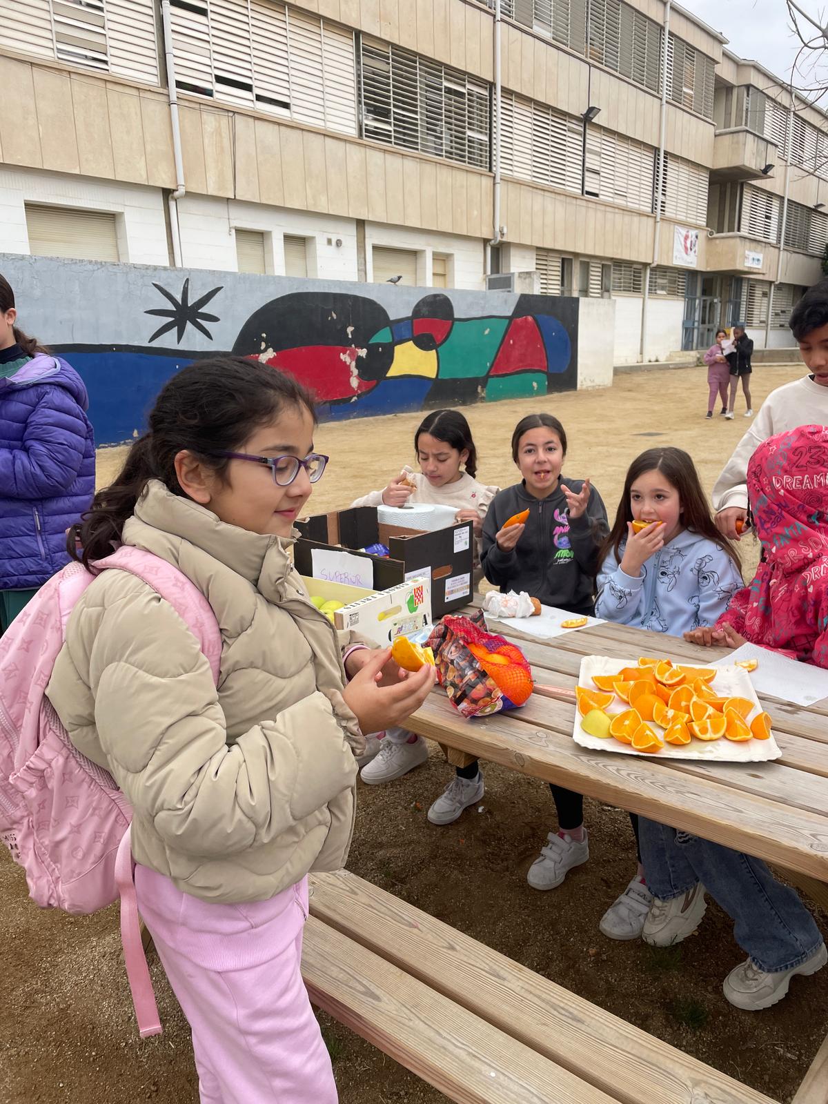 WhatsApp Image 2025-02-21 at 12.03.23 (2)