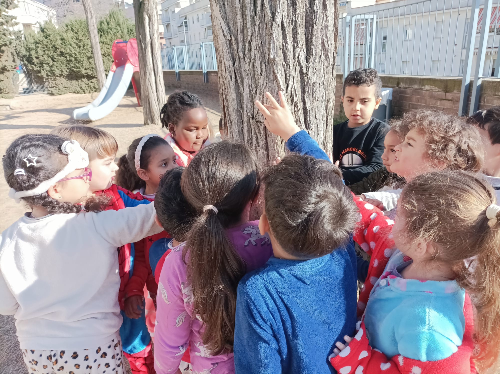 WhatsApp Image 2025-02-27 at 12.43.42 (2)