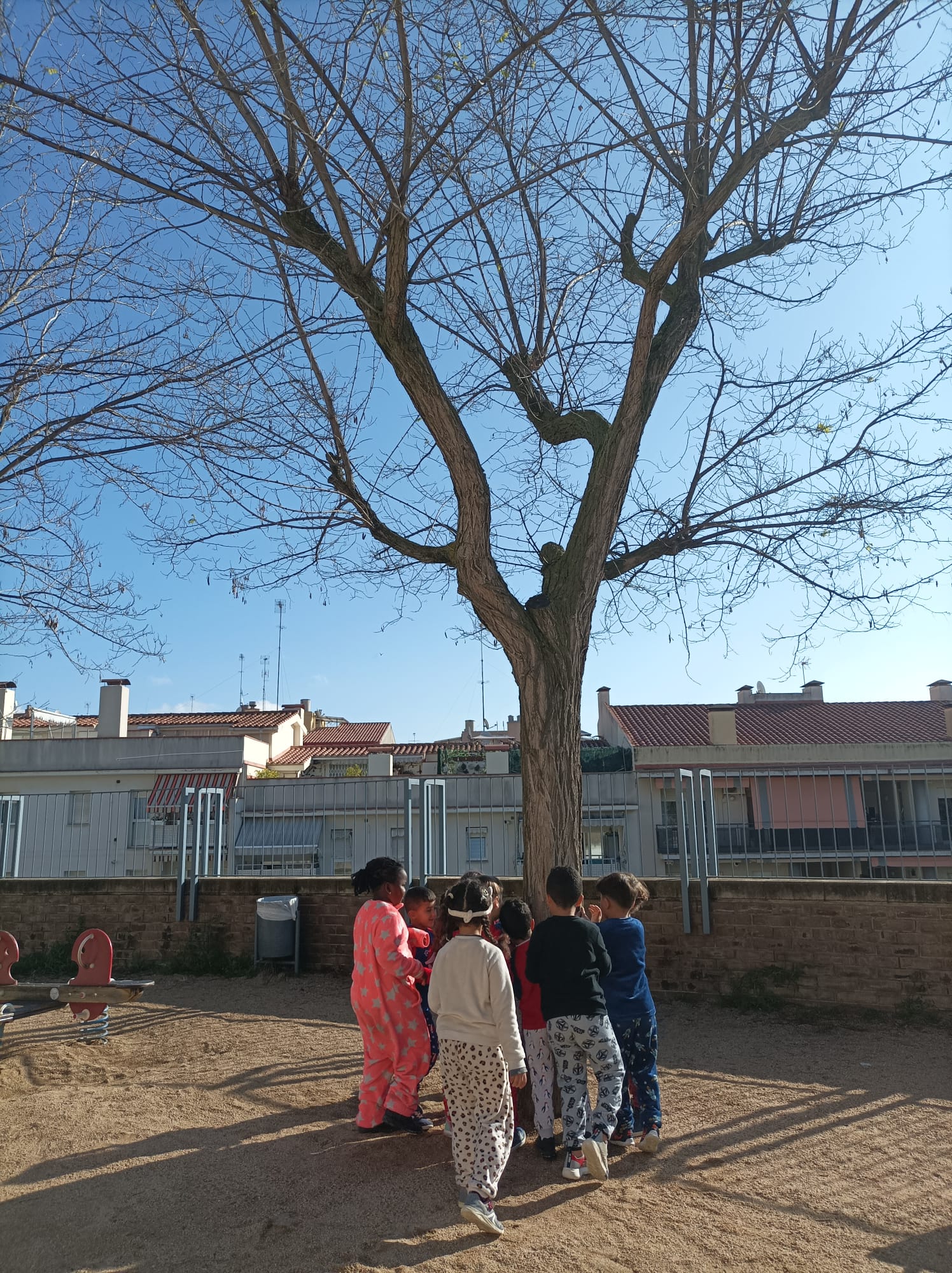 WhatsApp Image 2025-02-27 at 12.43.42 (3)