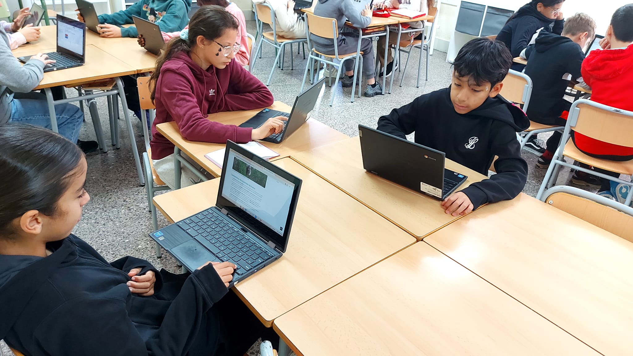 WhatsApp Image 2025-03-05 at 14.33.17