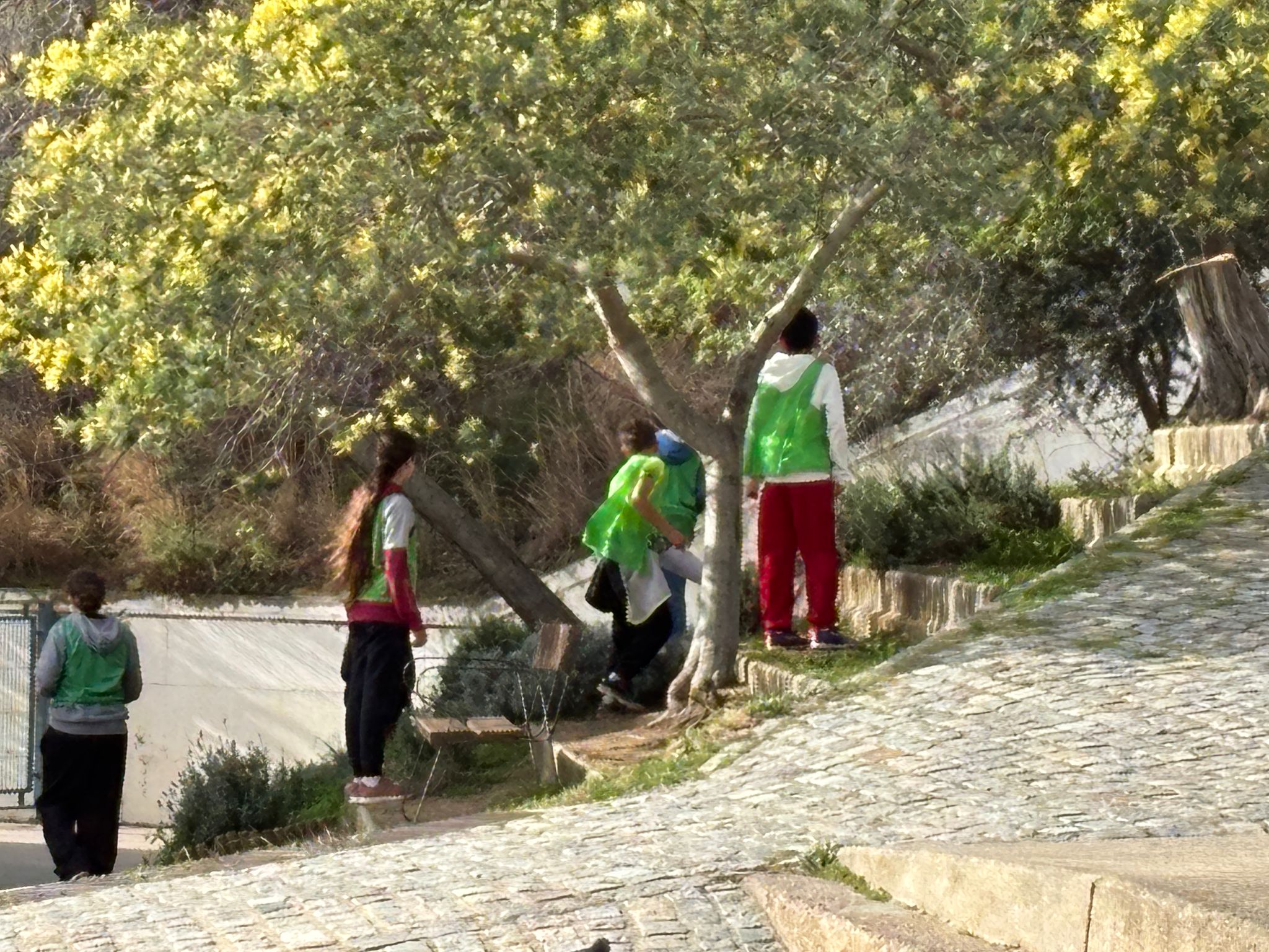 WhatsApp Image 2025-03-08 at 10.06.55 (2)