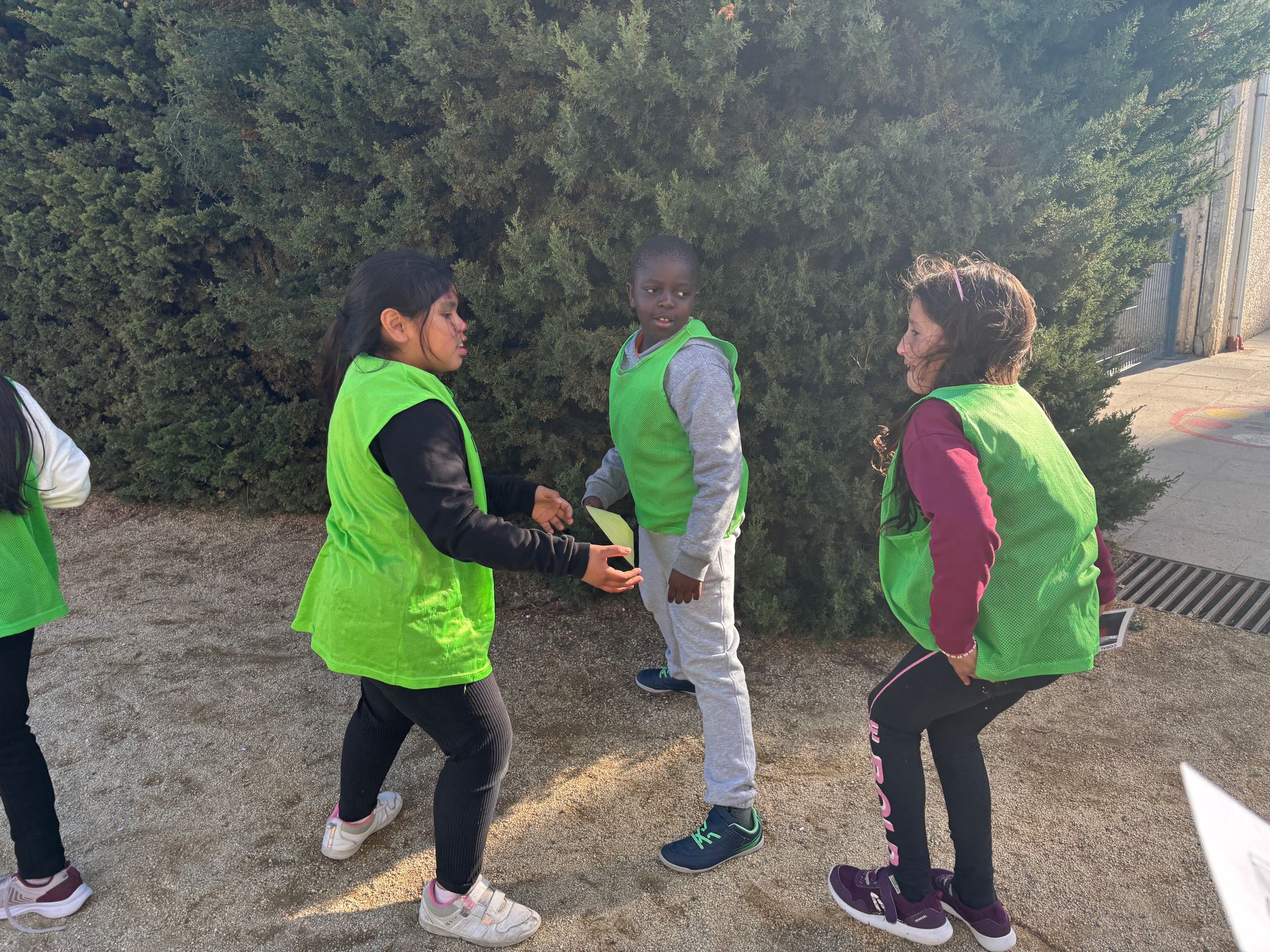 WhatsApp Image 2025-03-08 at 10.06.56 (3)