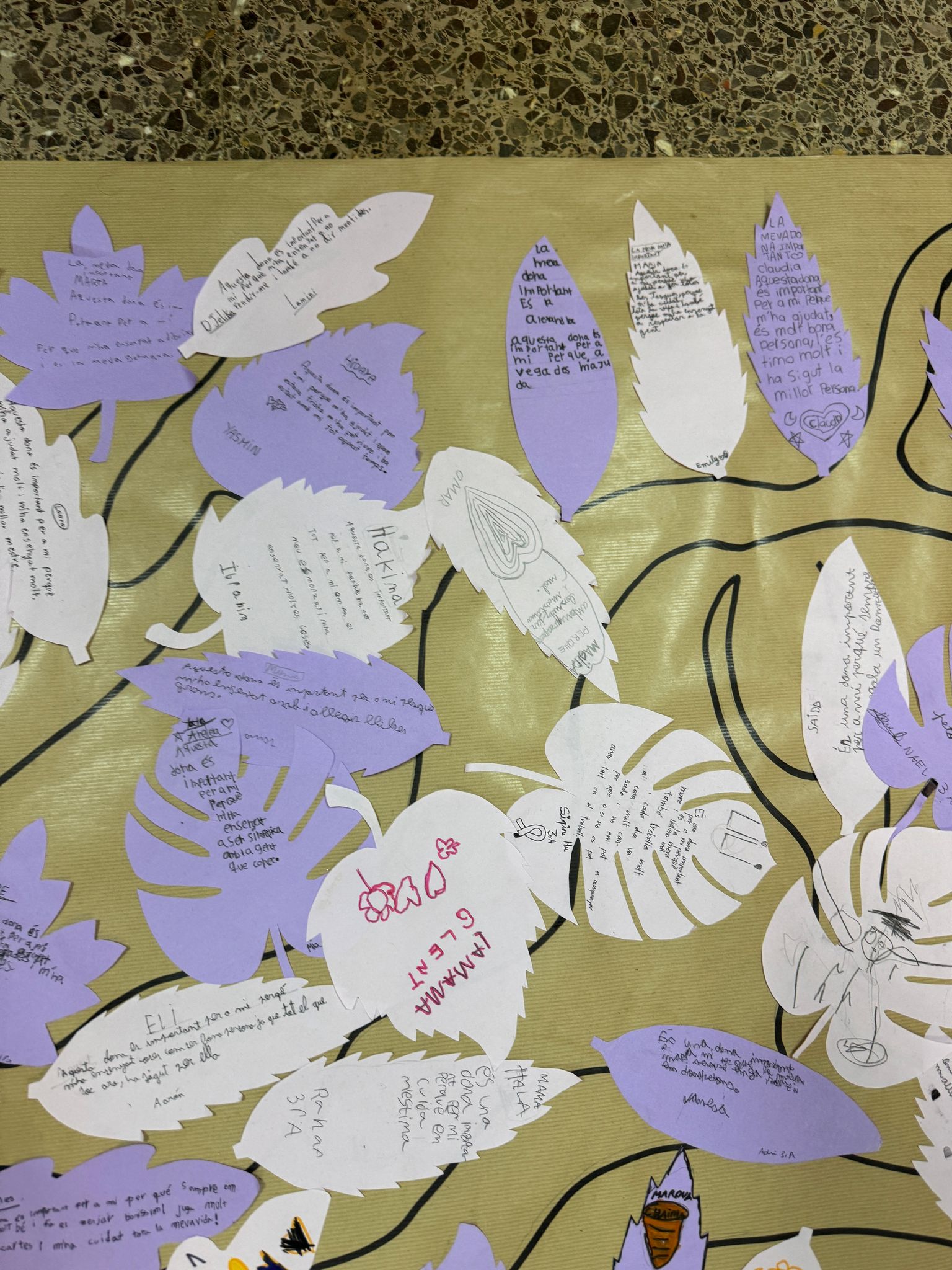 WhatsApp Image 2025-03-08 at 13.01.43 (1)