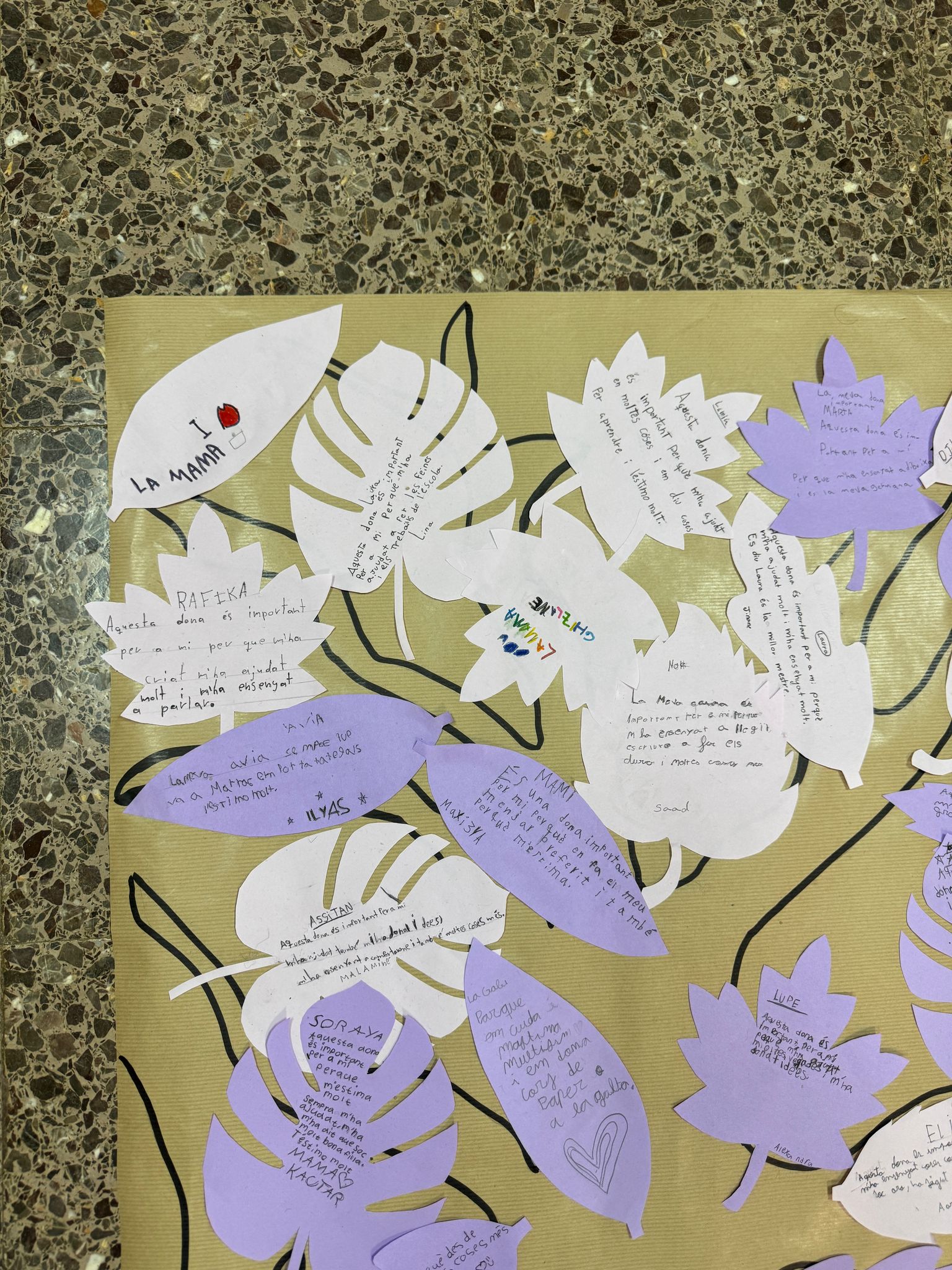 WhatsApp Image 2025-03-08 at 13.01.43 (2)