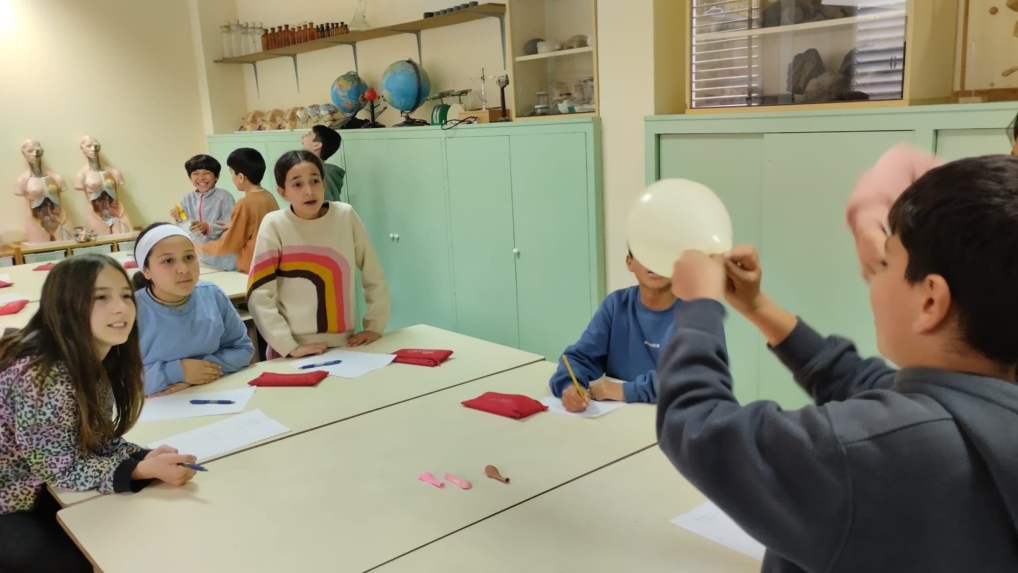 WhatsApp Image 2025-03-12 at 17.44.31