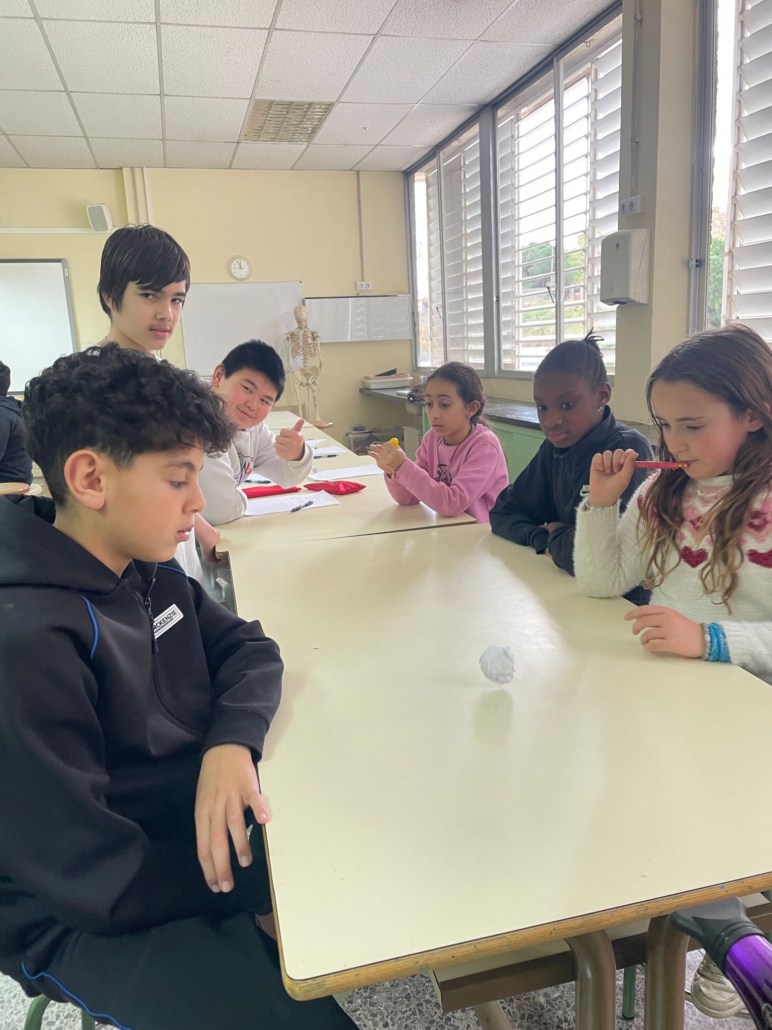 WhatsApp Image 2025-03-12 at 17.44.33