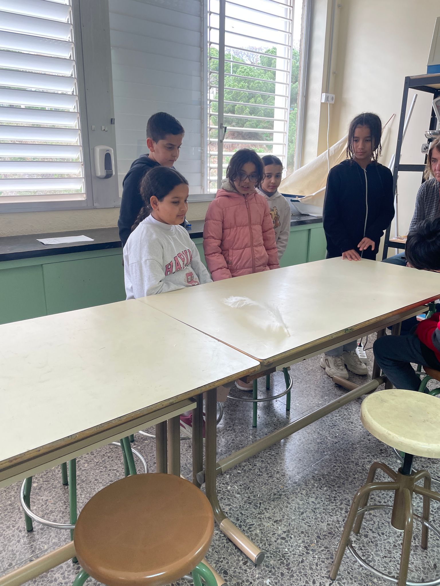 WhatsApp Image 2025-03-12 at 17.44.34