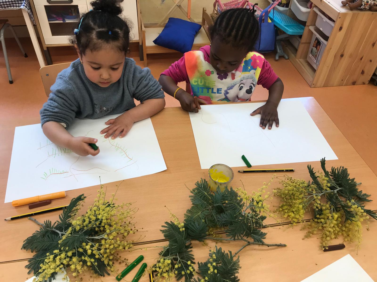 WhatsApp Image 2025-03-14 at 12.48.49