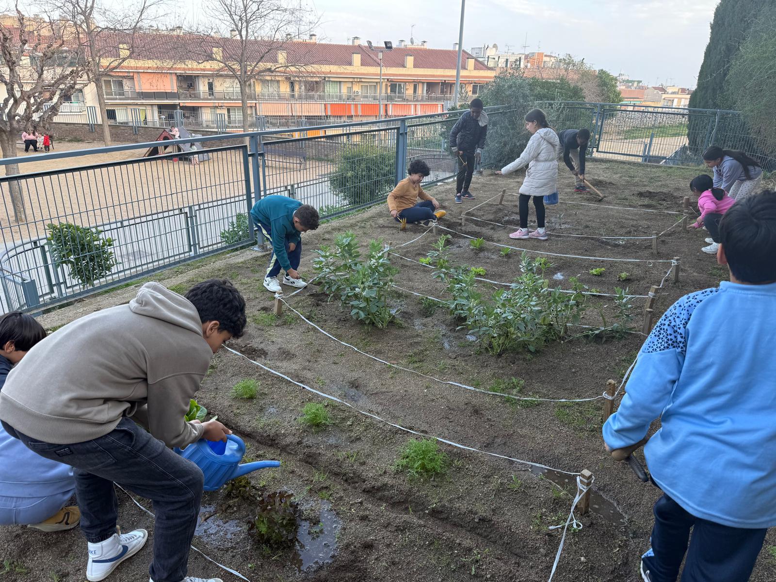 WhatsApp Image 2025-03-17 at 17.39.24