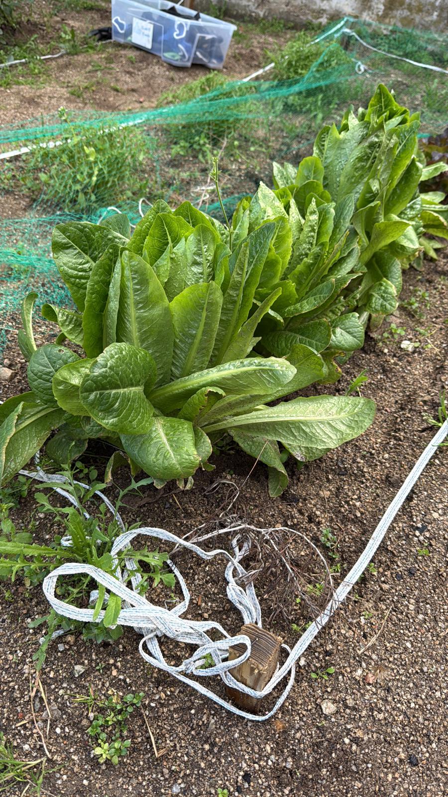 WhatsApp Image 2025-03-17 at 17.39.25 (3)