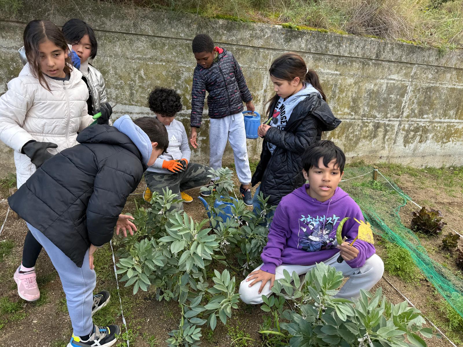 WhatsApp Image 2025-03-17 at 17.39.25