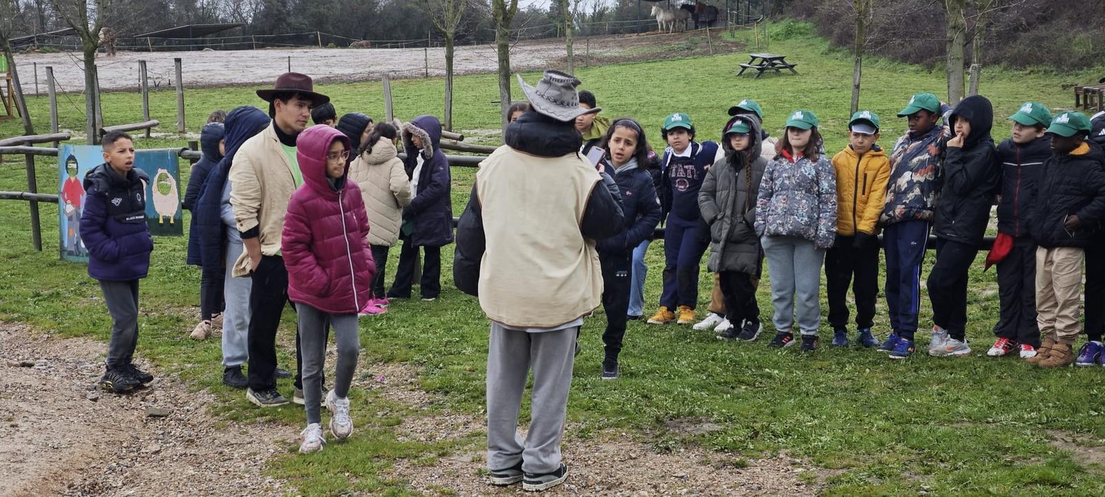 WhatsApp Image 2025-03-19 at 22.18.39