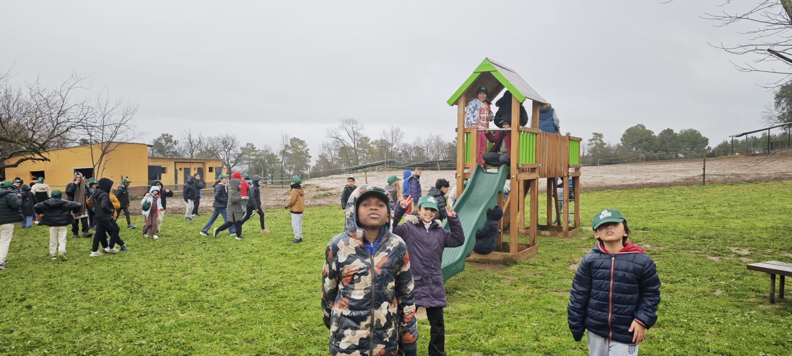 WhatsApp Image 2025-03-19 at 22.18.40