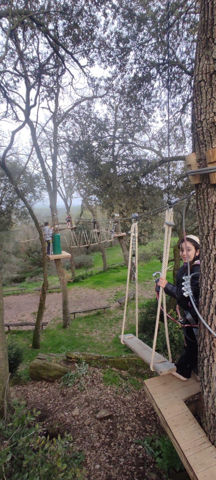 WhatsApp Image 2025-03-20 at 22.07.11 (1)