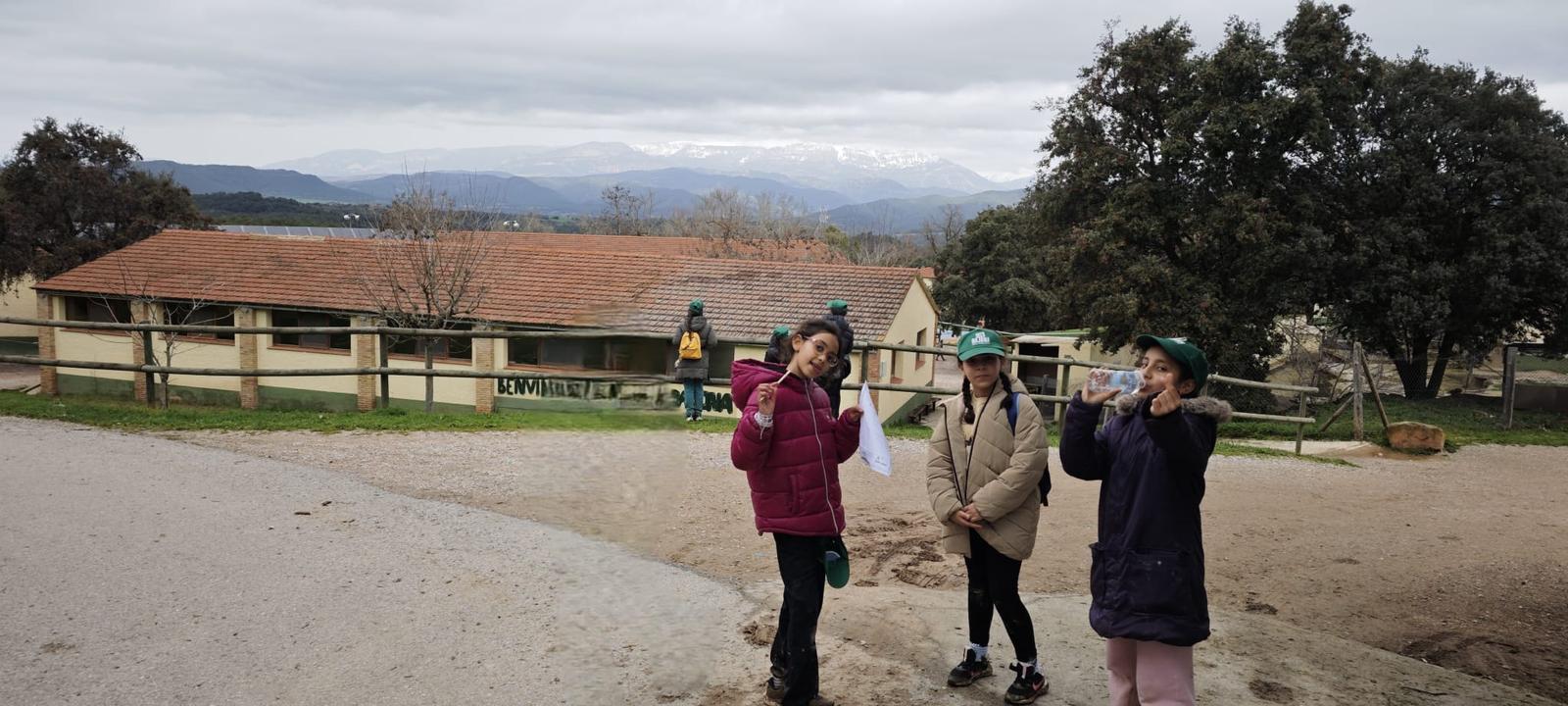 WhatsApp Image 2025-03-20 at 22.07.12 (1)