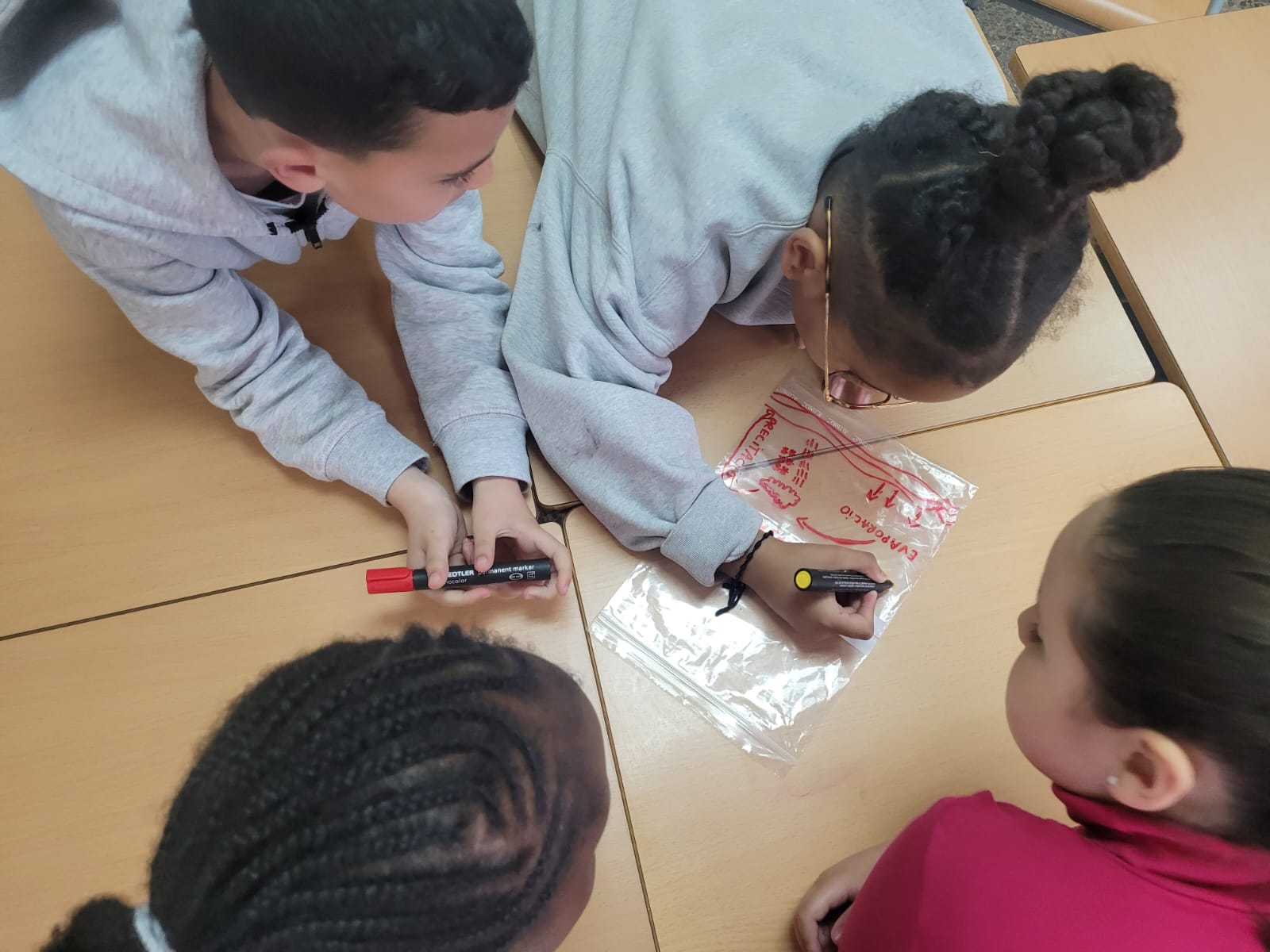 WhatsApp Image 2025-03-21 at 13.04.03