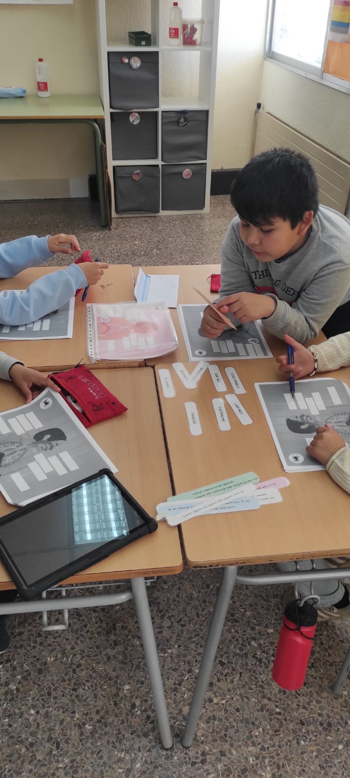 WhatsApp Image 2025-03-27 at 14.52.03 (1)