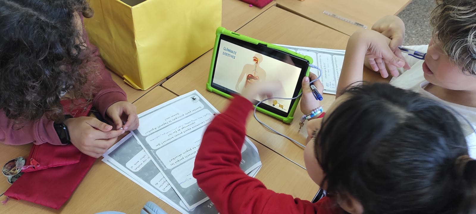 WhatsApp Image 2025-03-27 at 14.52.03