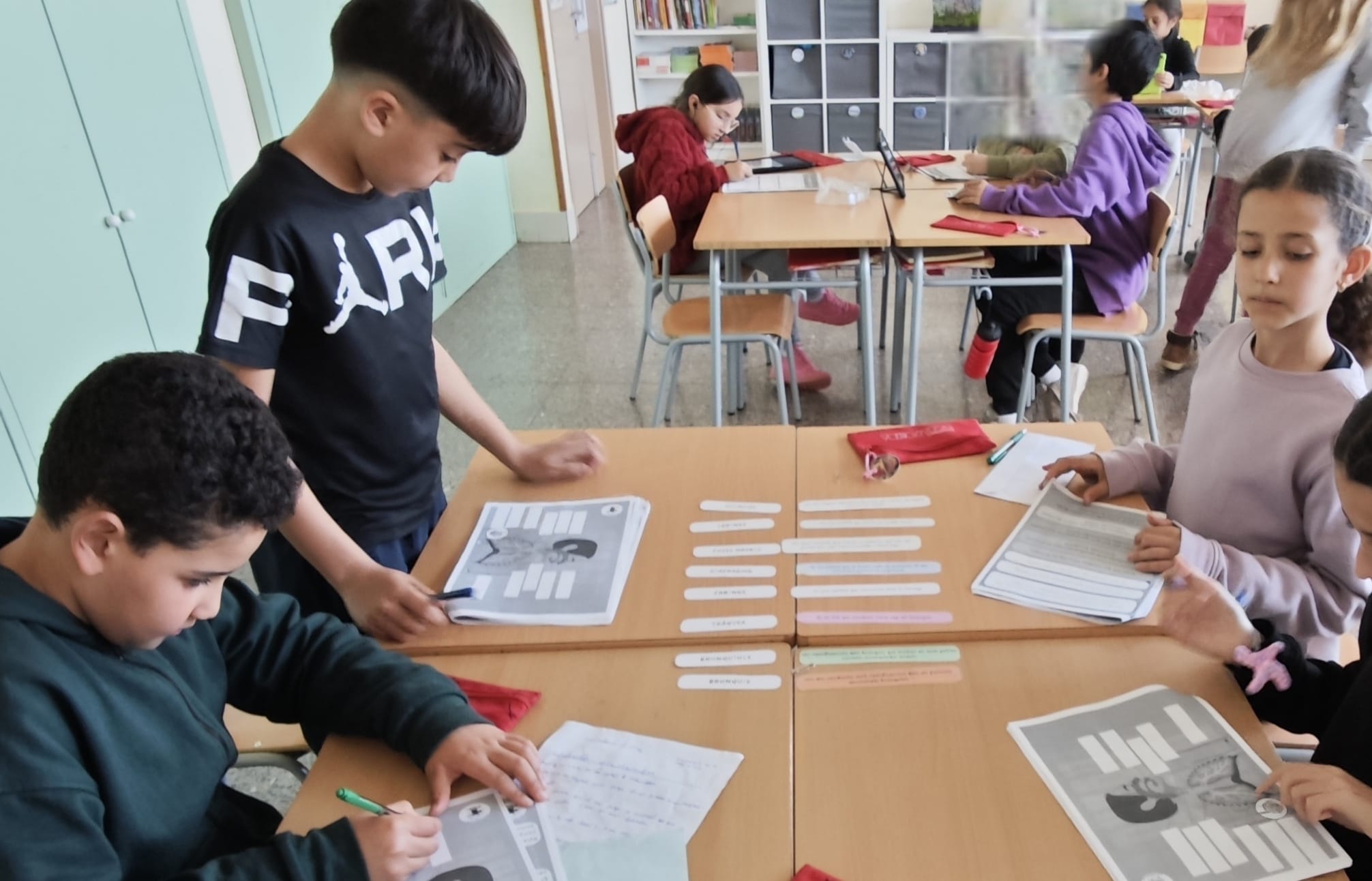 WhatsApp Image 2025-03-27 at 14.52.04 (1)