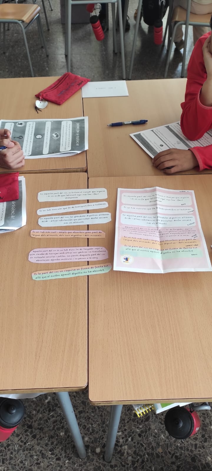 WhatsApp Image 2025-03-27 at 14.52.06