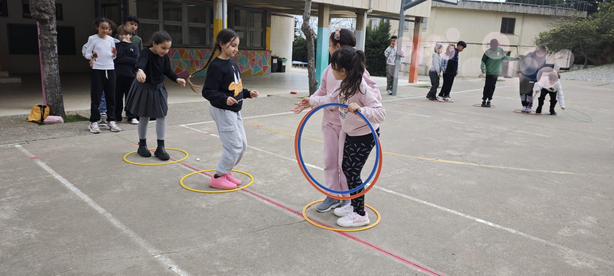 WhatsApp Image 2025-03-29 at 15.12.07 (1)