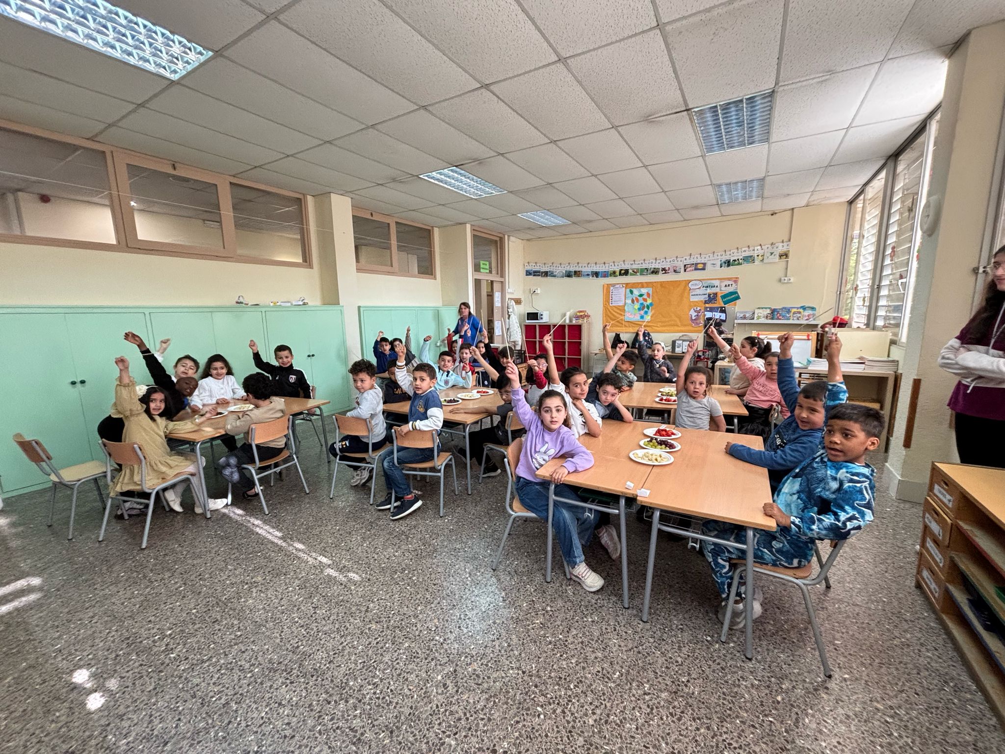 WhatsApp Image 2025-04-11 at 13.38.05