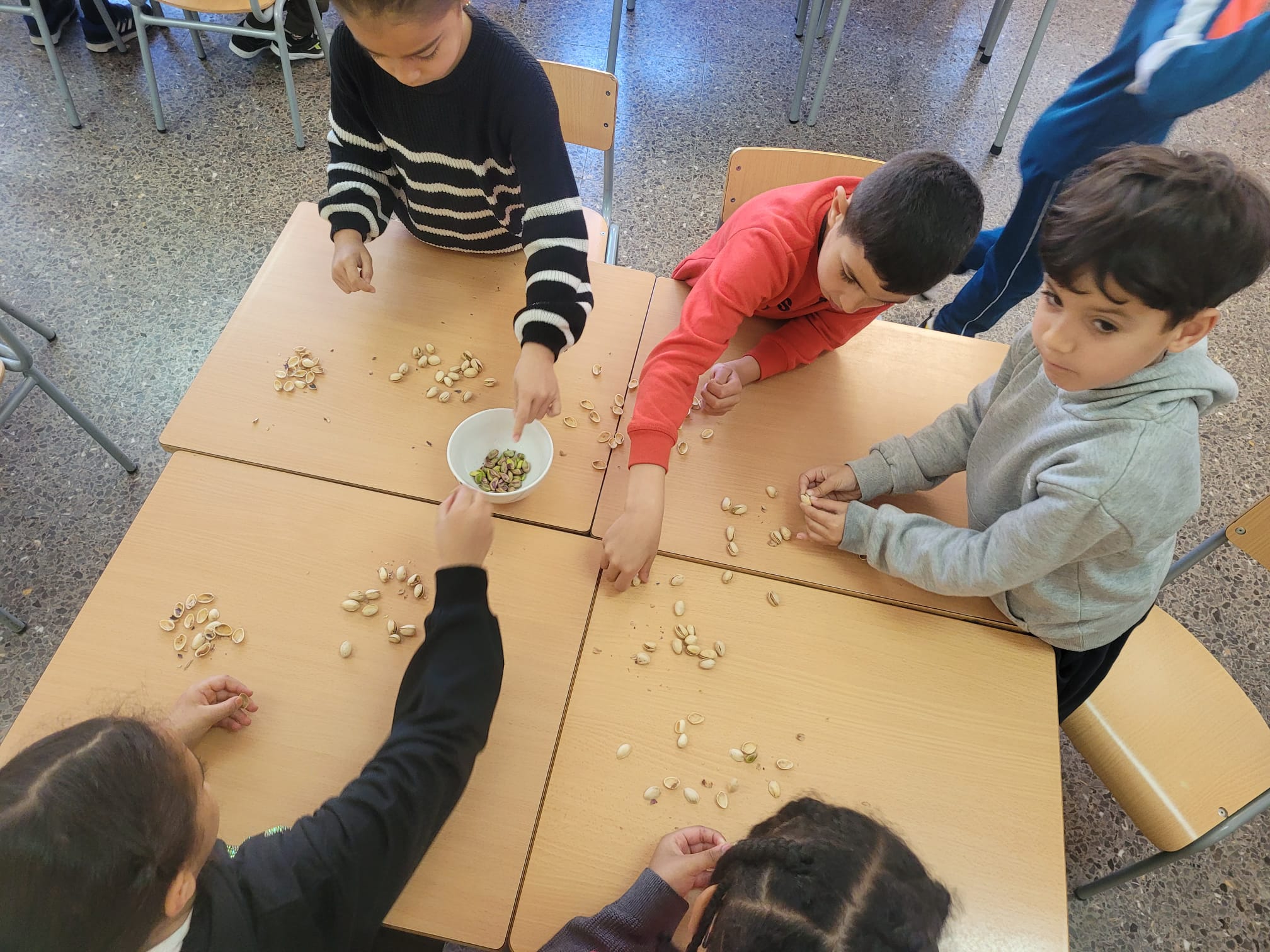 WhatsApp Image 2025-04-11 at 17.15.29