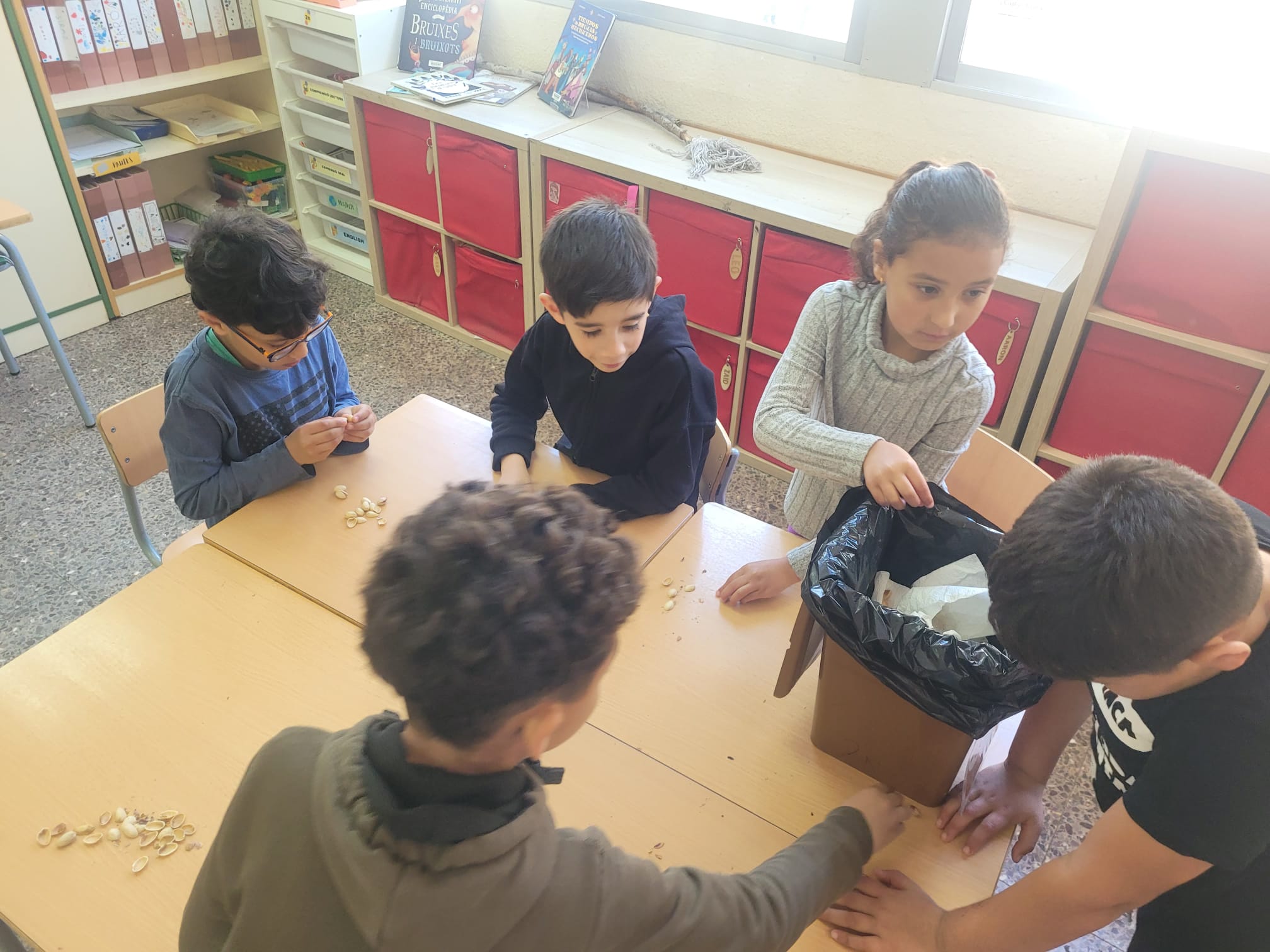 WhatsApp Image 2025-04-11 at 17.15.30