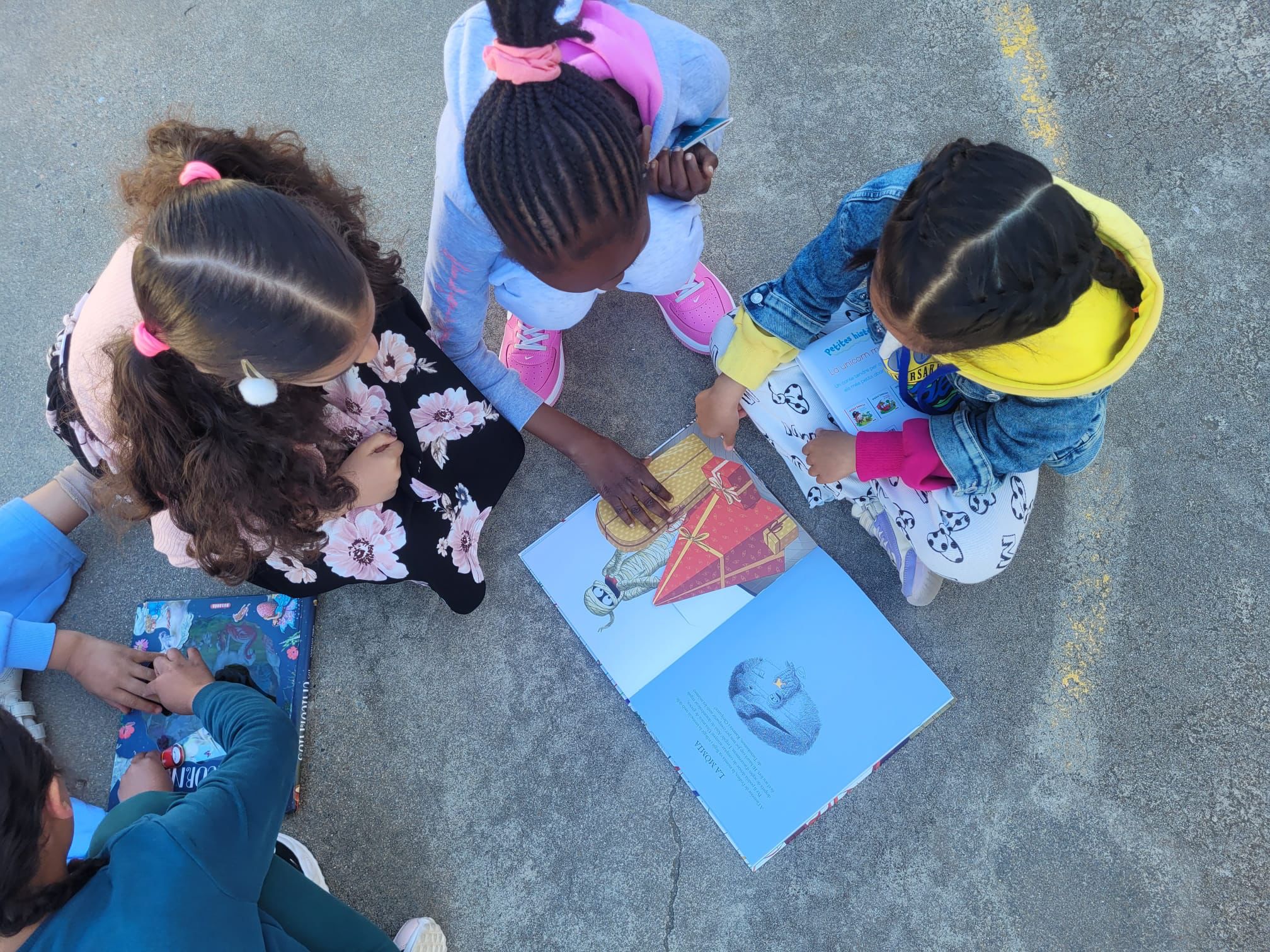 WhatsApp Image 2025-04-23 at 17.51.17