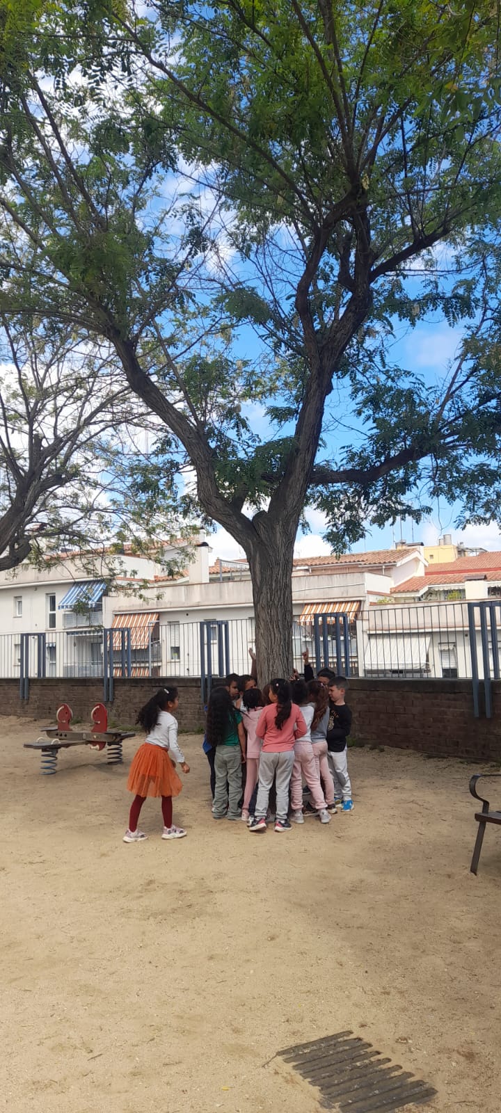 WhatsApp Image 2025-04-30 at 19.38.12 (3)