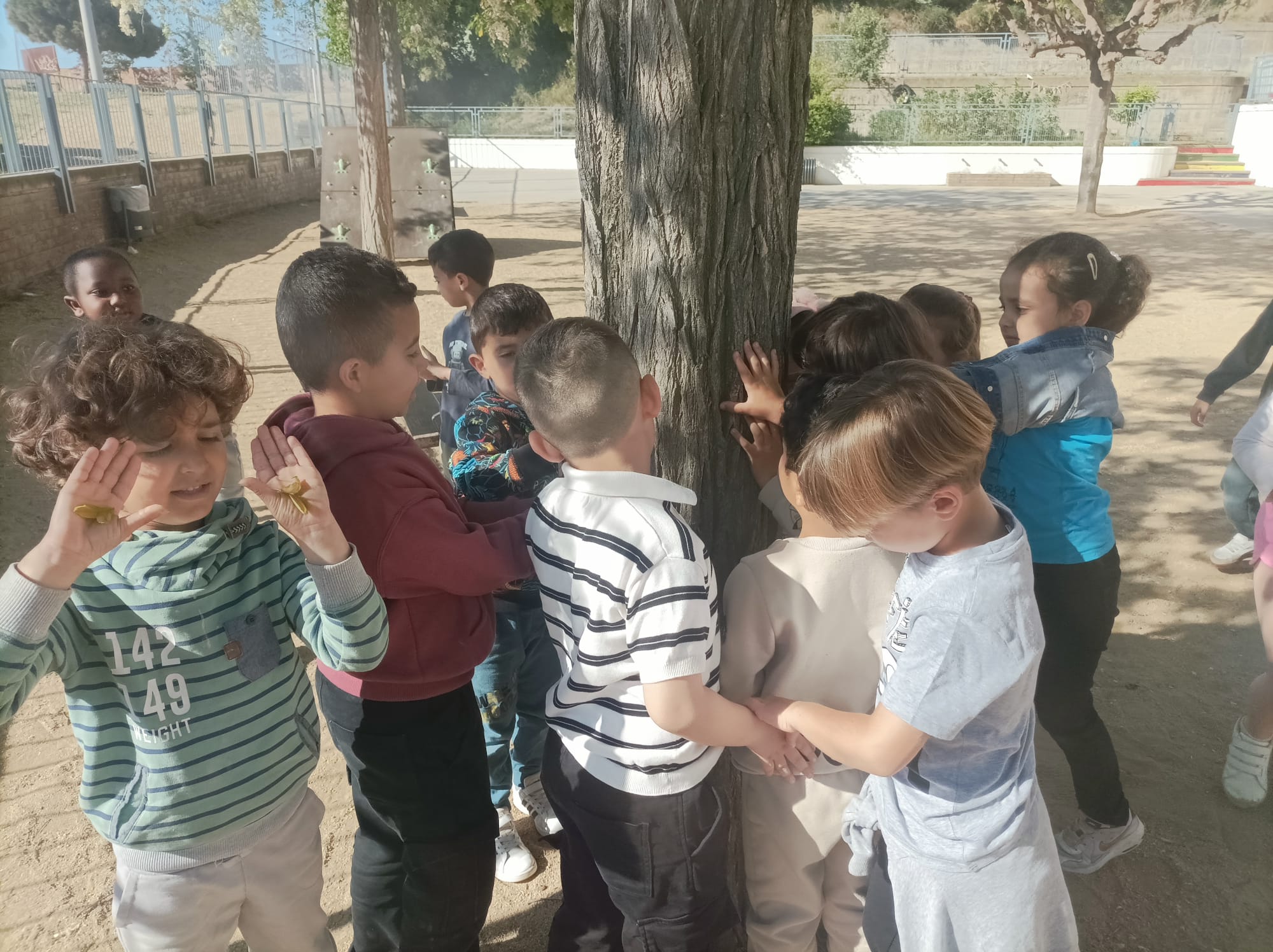 WhatsApp Image 2025-04-30 at 19.38.14