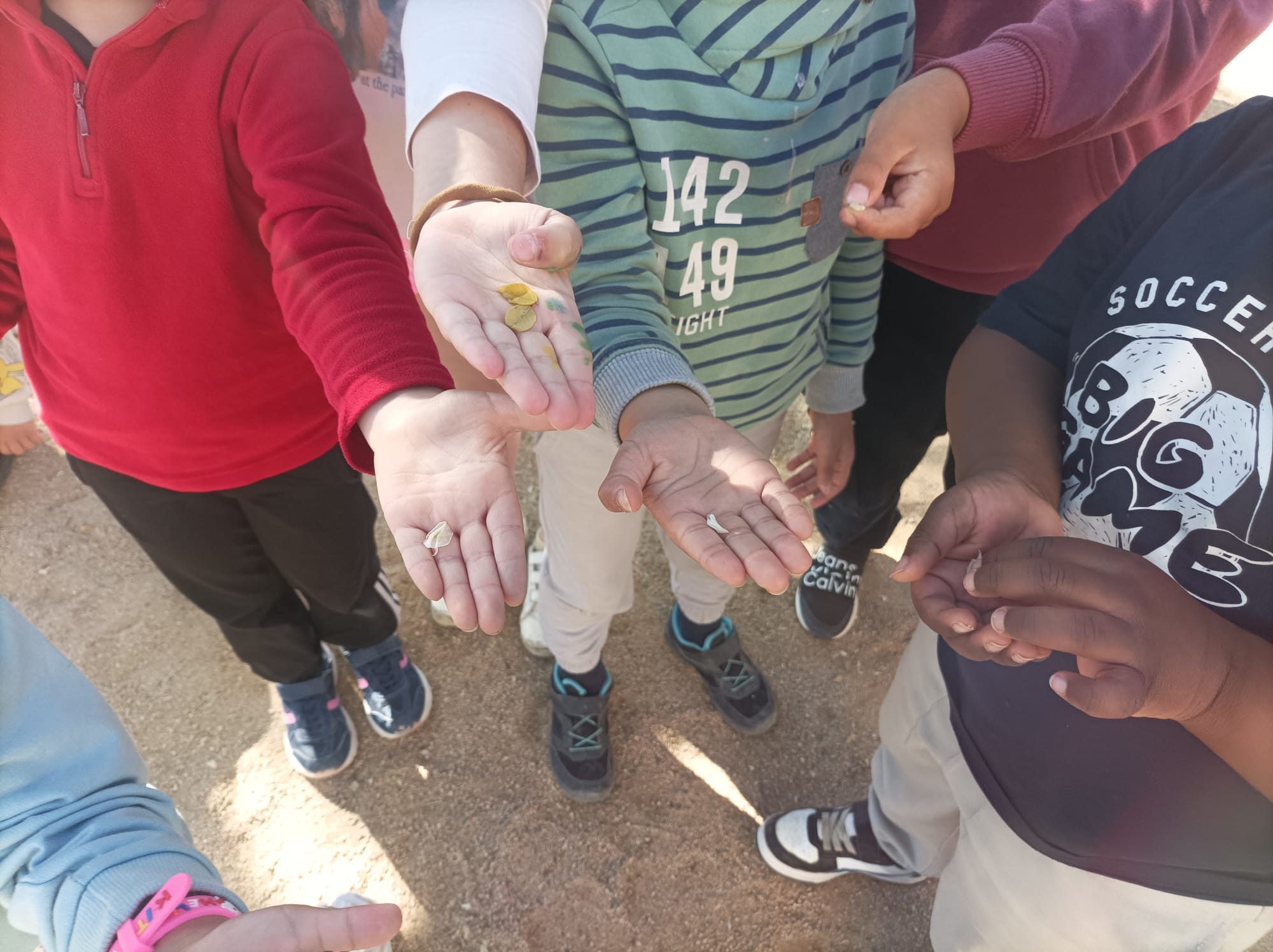 WhatsApp Image 2025-04-30 at 19.38.15