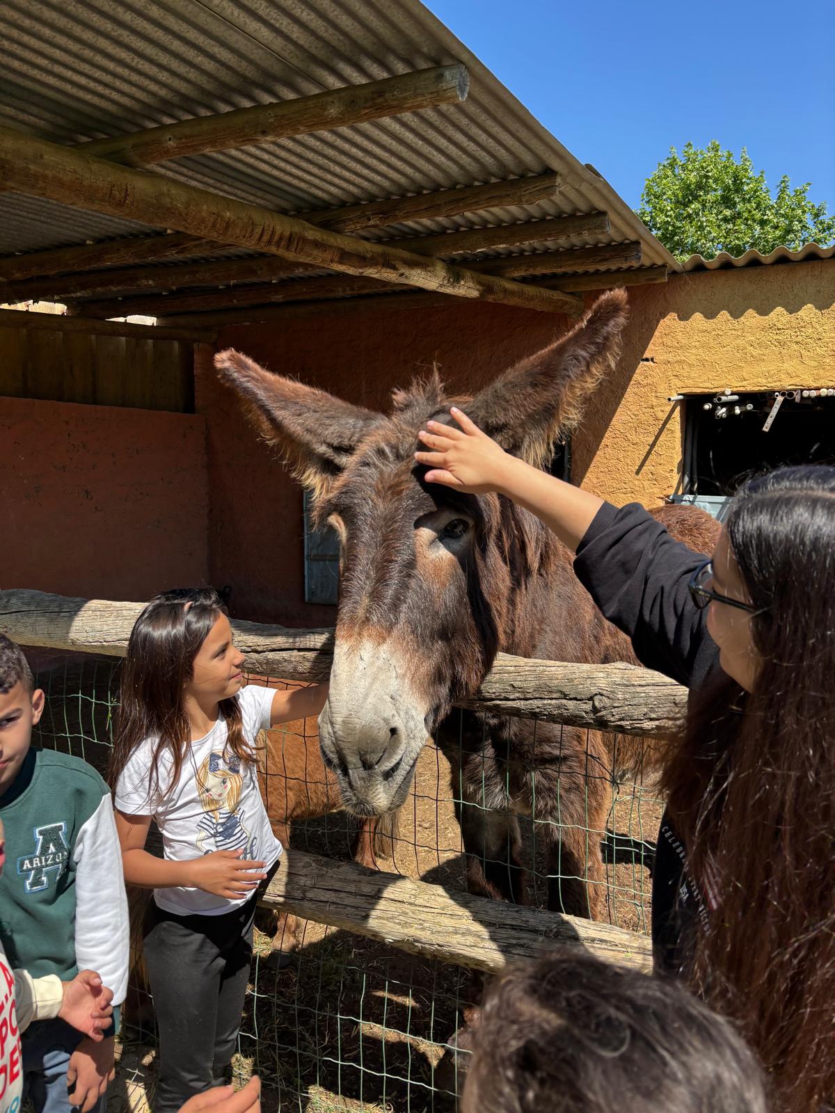 WhatsApp Image 2025-05-07 at 22.00.48