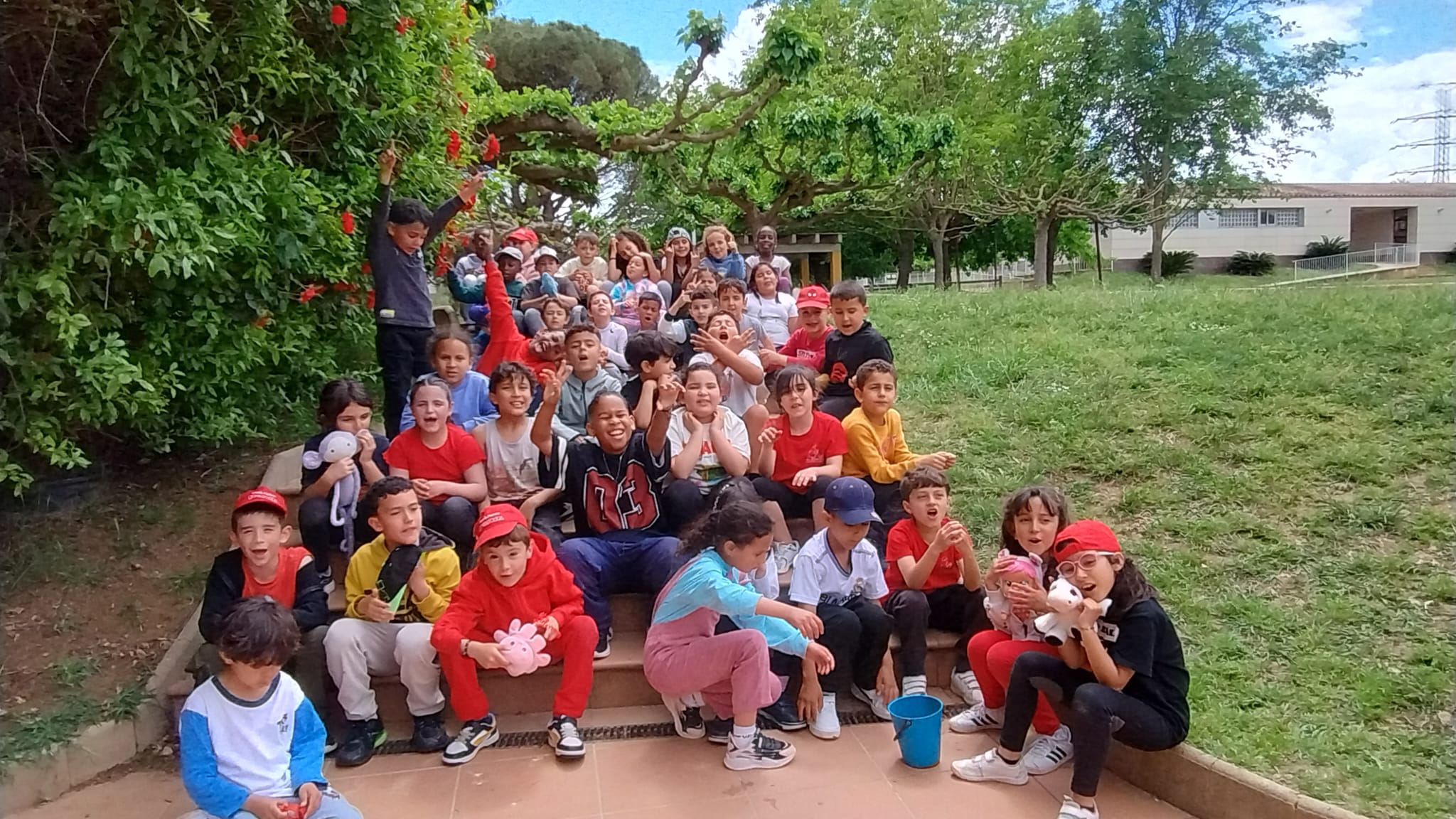 WhatsApp Image 2025-05-07 at 22.00.50