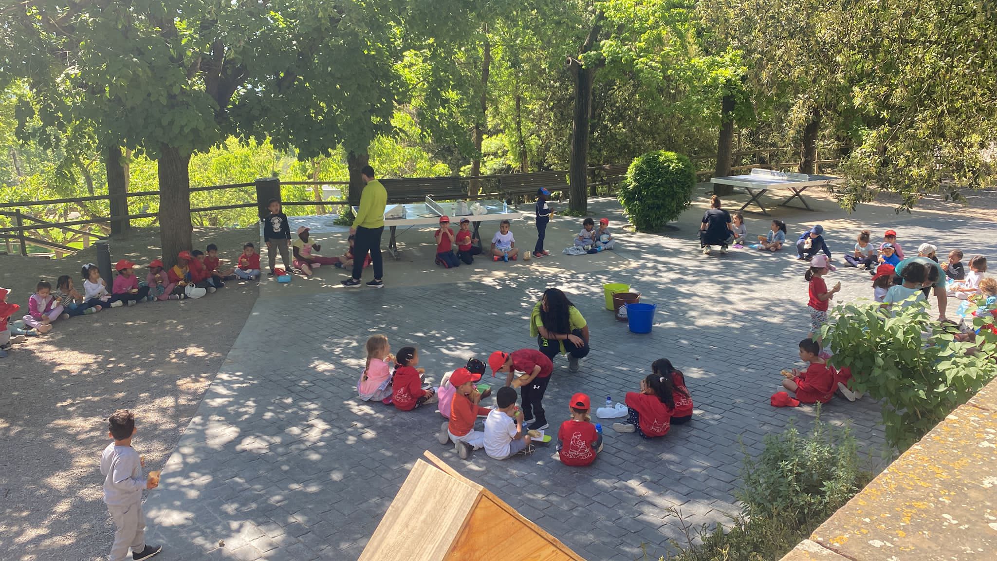 WhatsApp Image 2025-05-20 at 15.45.06