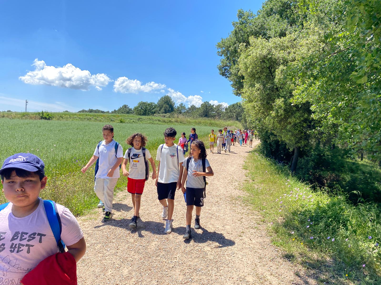 WhatsApp Image 2025-05-23 at 18.56.44