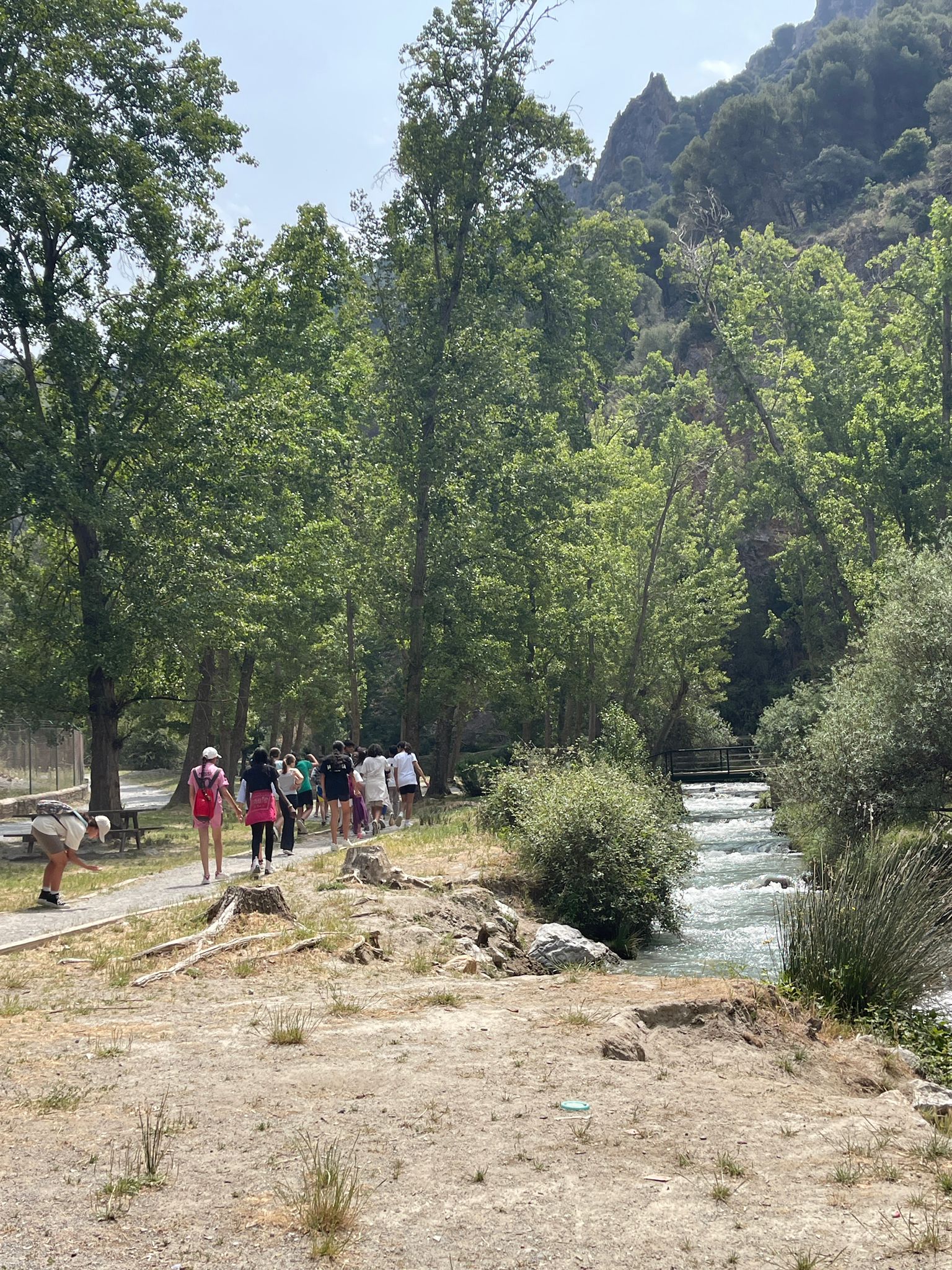 WhatsApp Image 2025-06-04 at 08.33.33