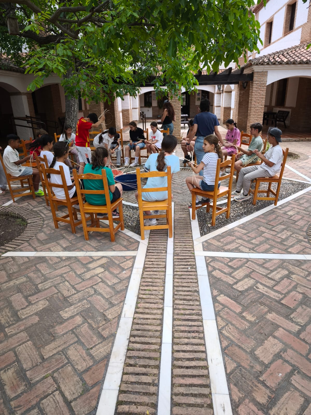 WhatsApp Image 2025-06-04 at 08.33.36