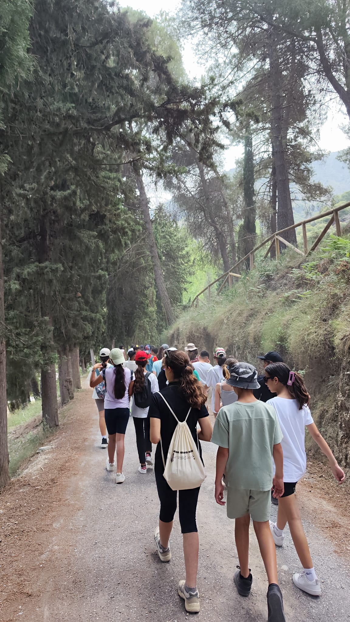 WhatsApp Image 2025-06-04 at 08.33.37