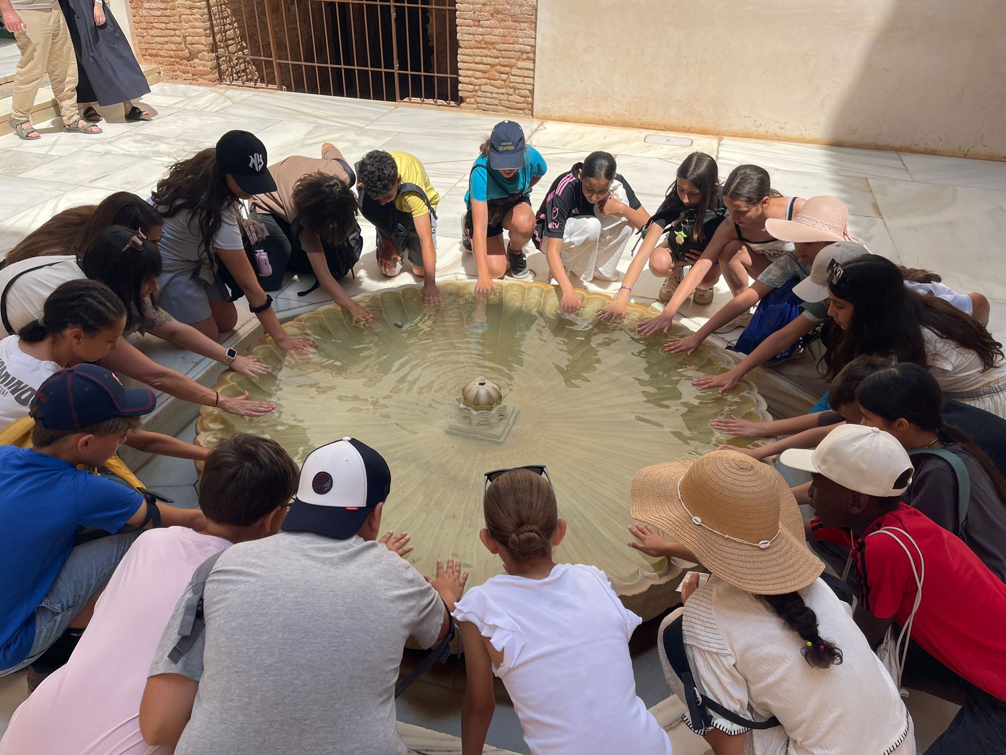 WhatsApp Image 2025-06-04 at 19.10.37