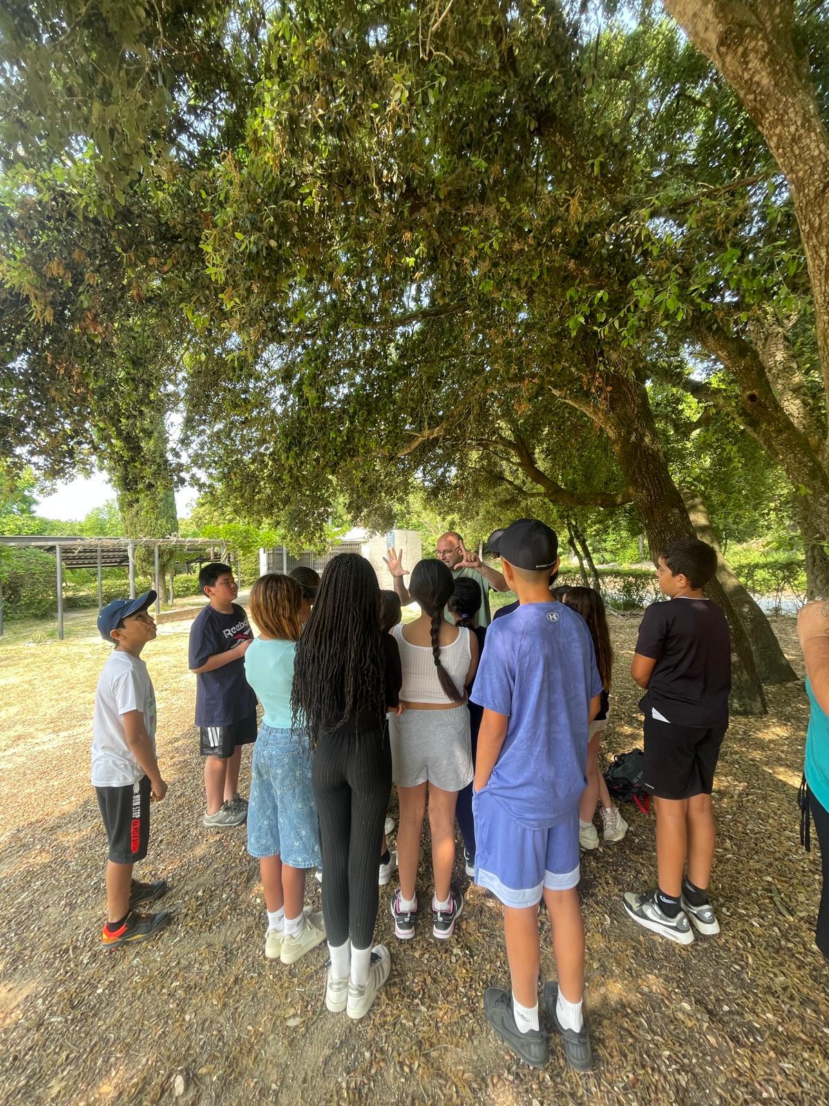 WhatsApp Image 2025-06-04 at 19.42.52