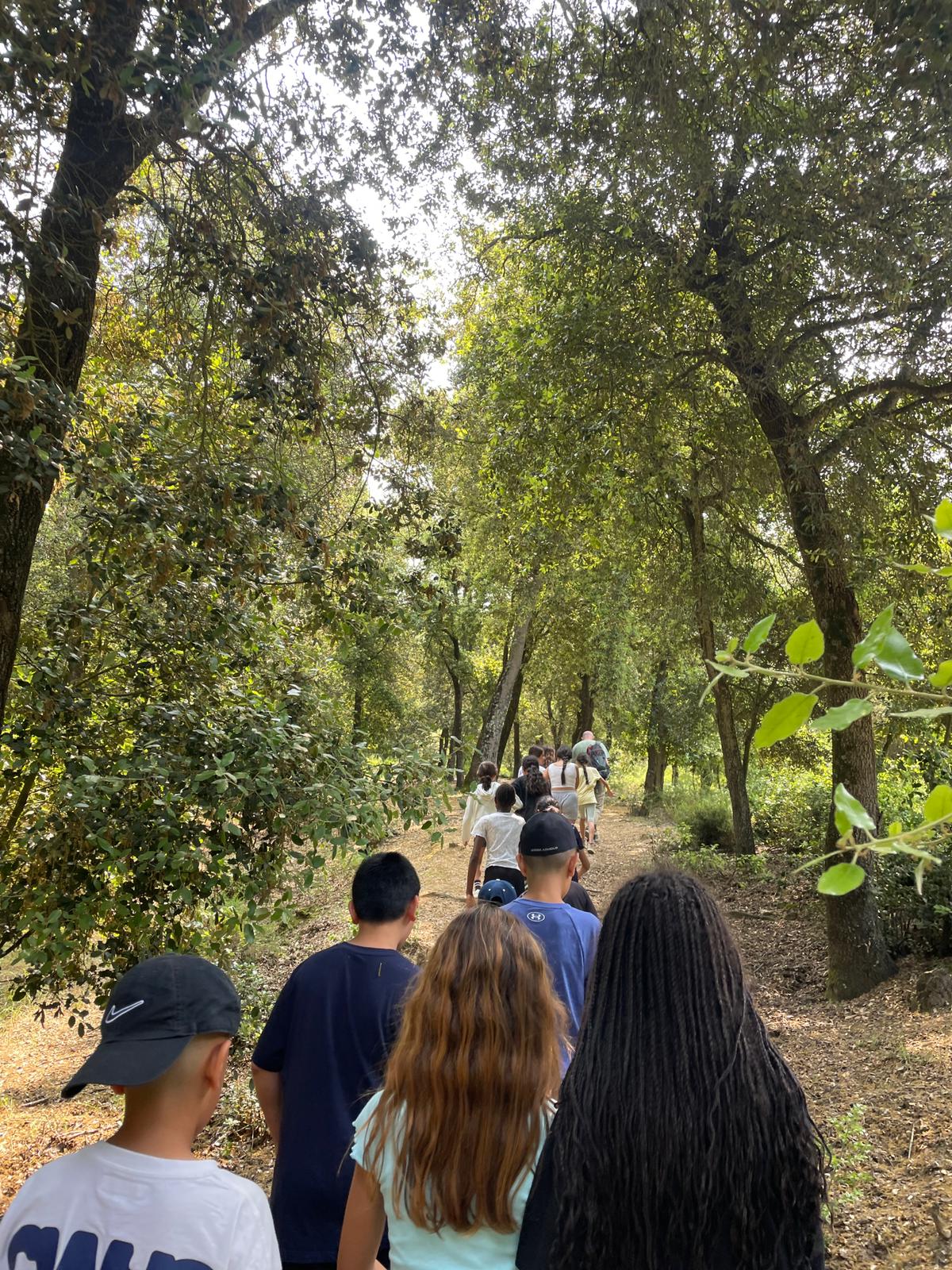 WhatsApp Image 2025-06-04 at 19.42.53