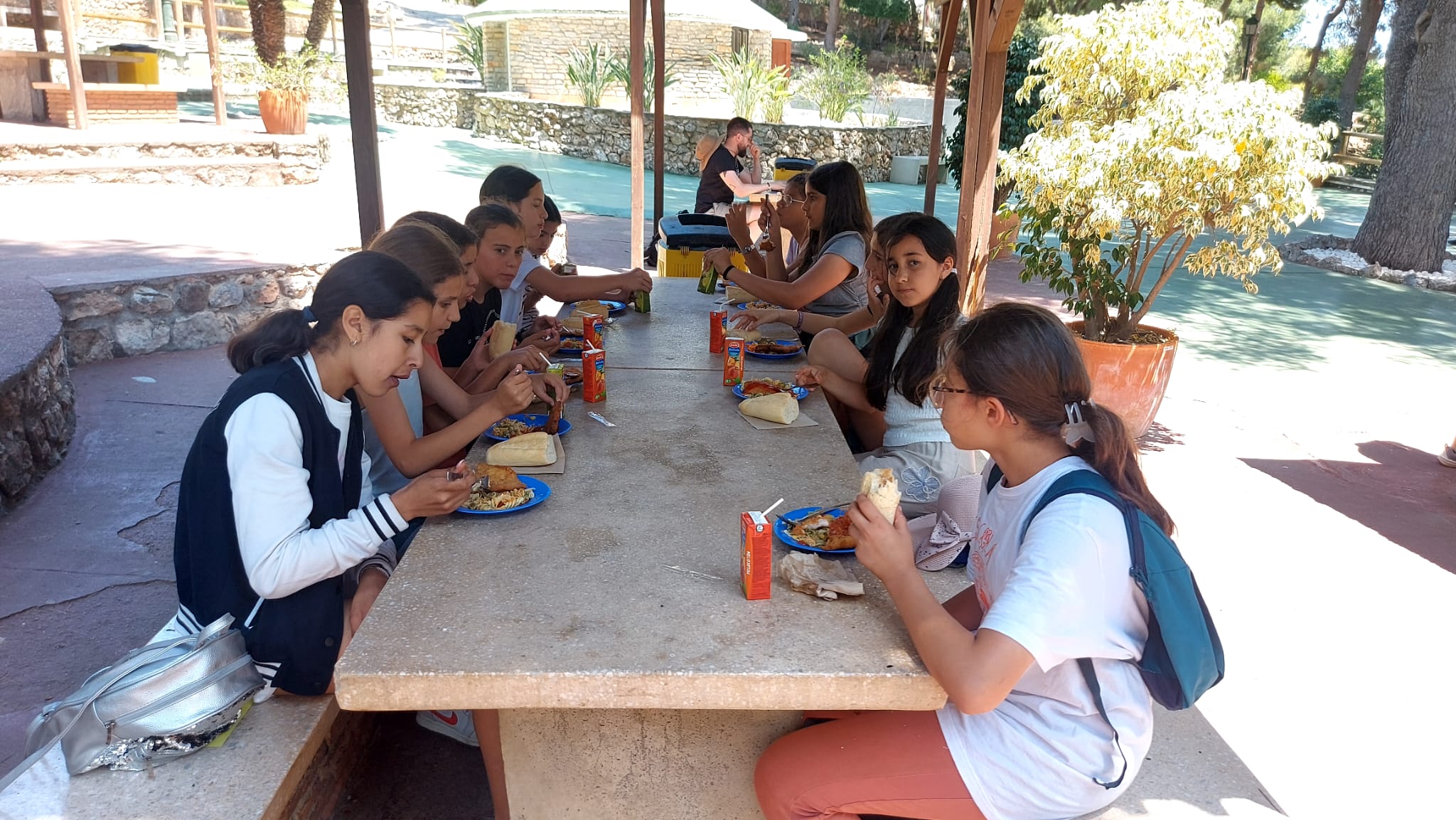 WhatsApp Image 2025-06-06 at 10.12.48