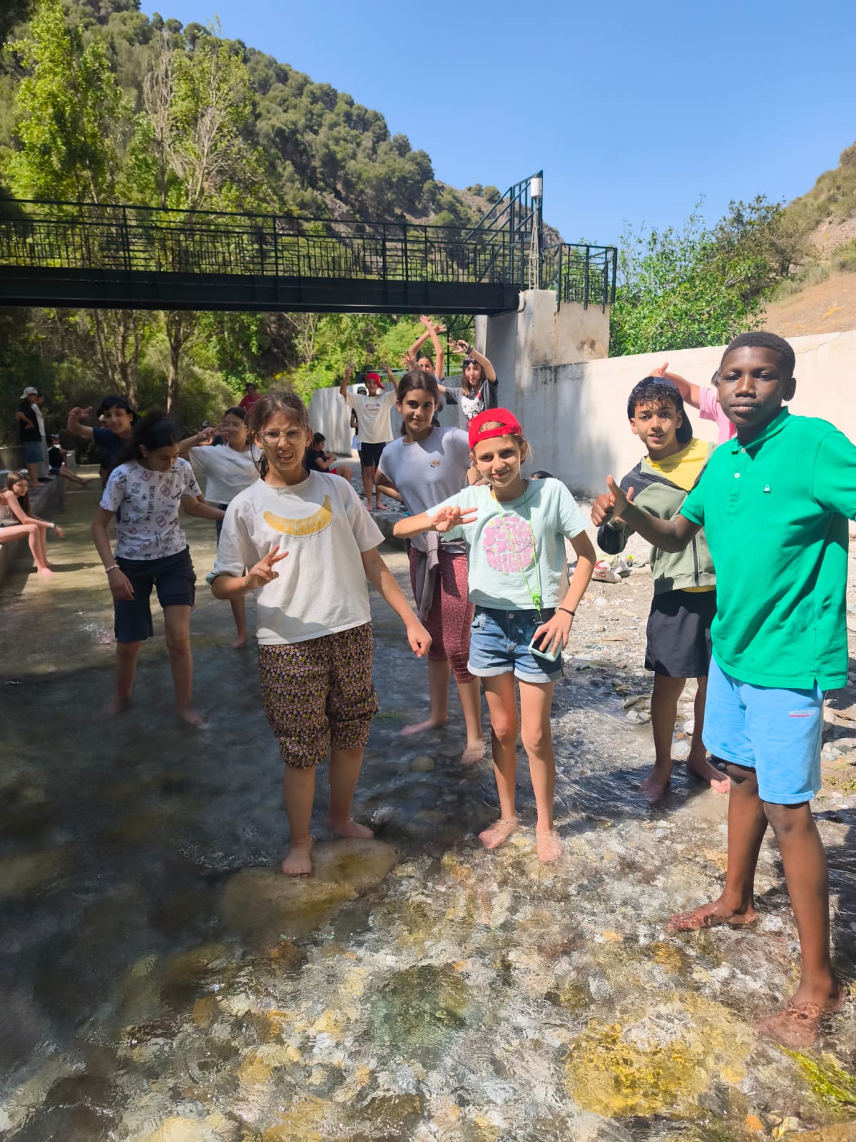 WhatsApp Image 2025-06-06 at 14.17.03