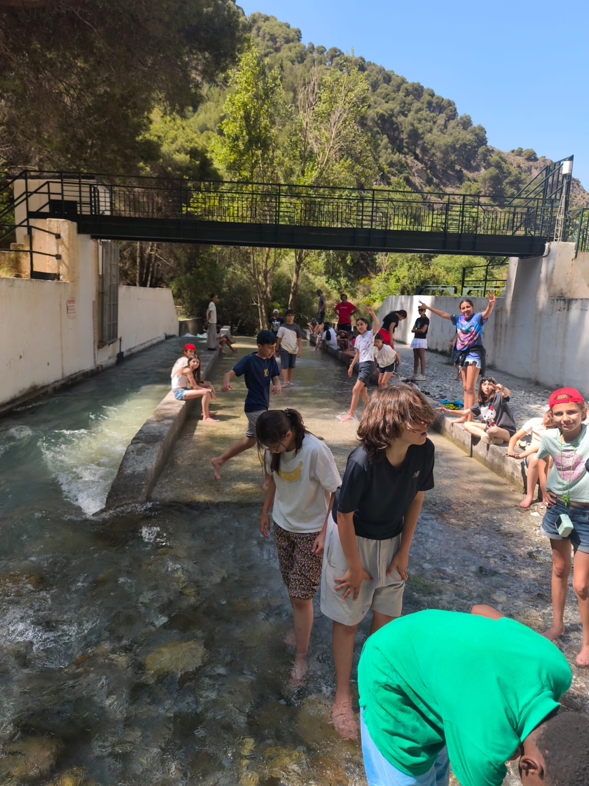 WhatsApp Image 2025-06-06 at 14.17.04 (1)