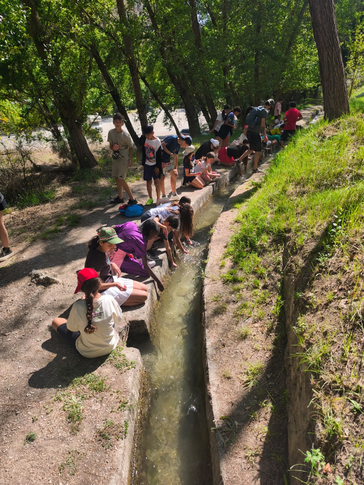 WhatsApp Image 2025-06-06 at 14.17.04