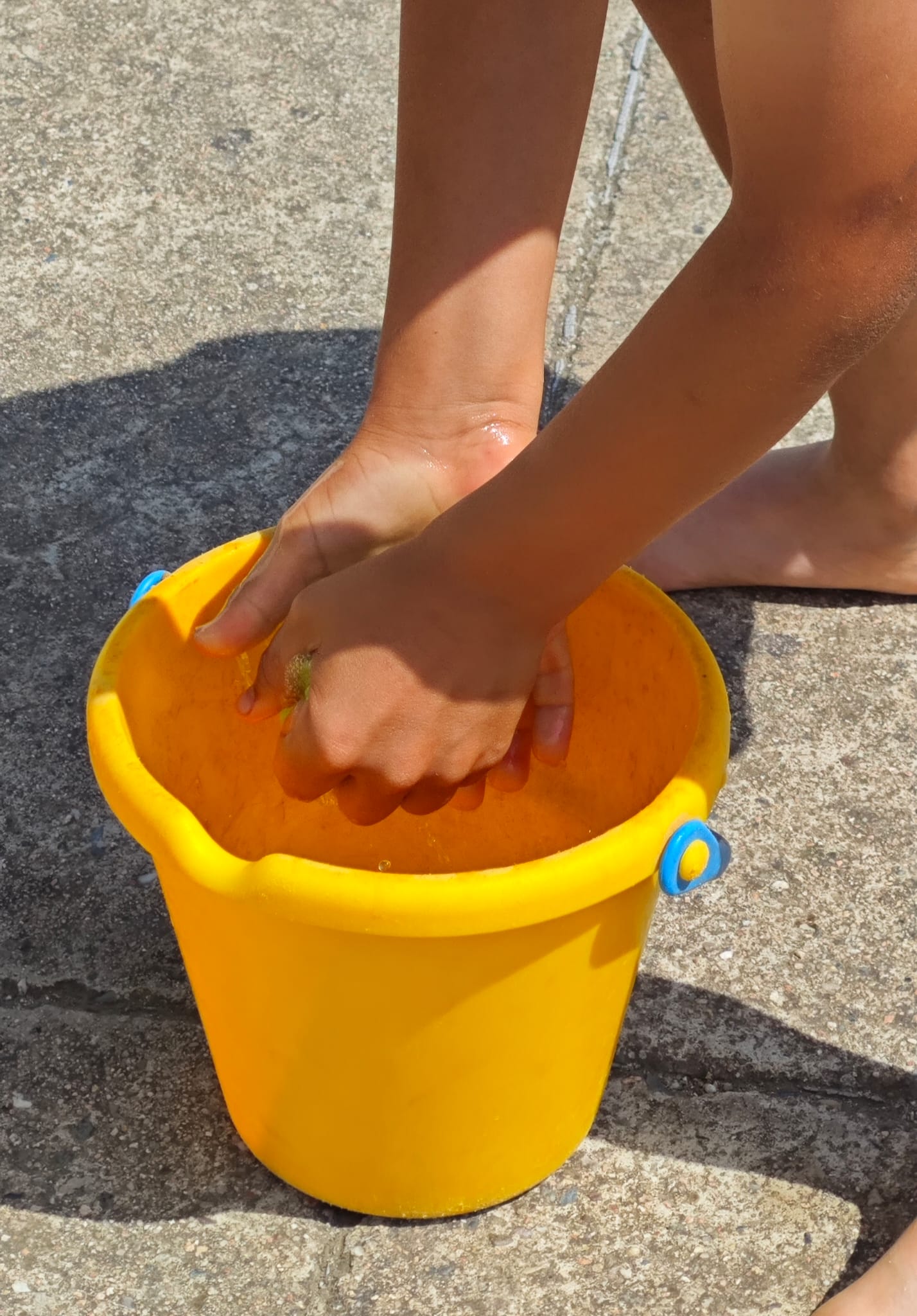 WhatsApp Image 2025-06-11 at 08.20.40 (2)