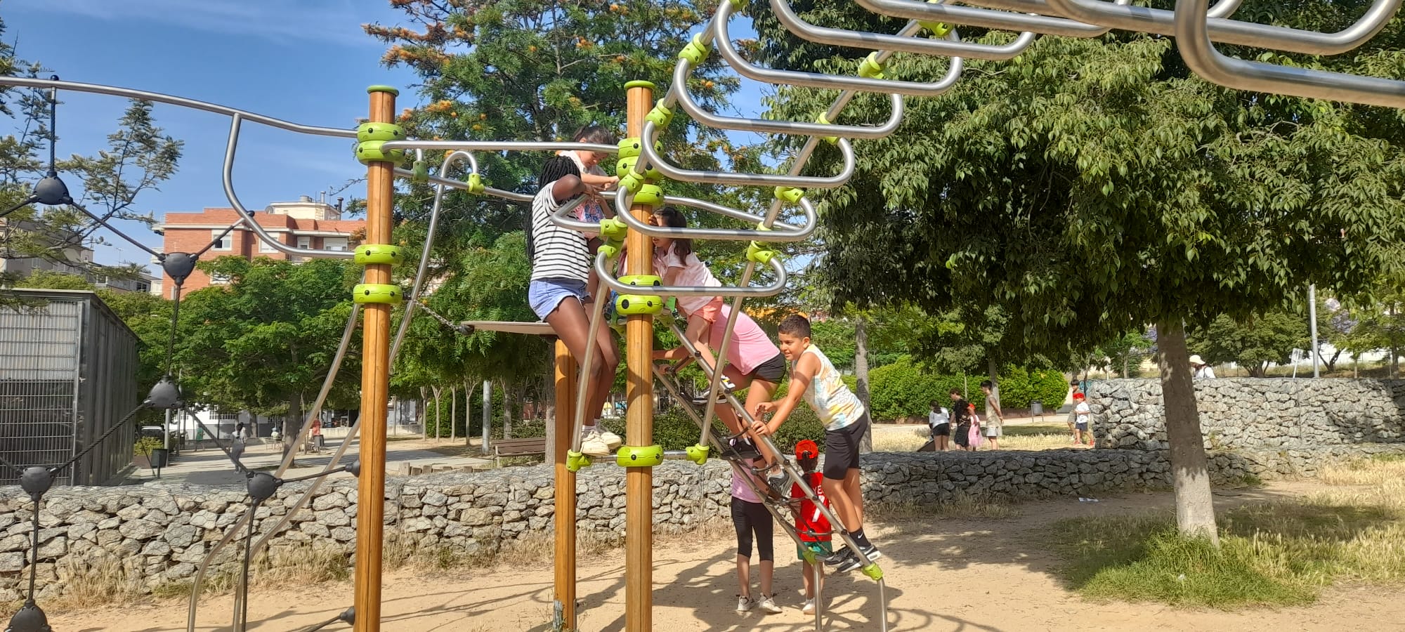 WhatsApp Image 2025-06-11 at 15.37.45