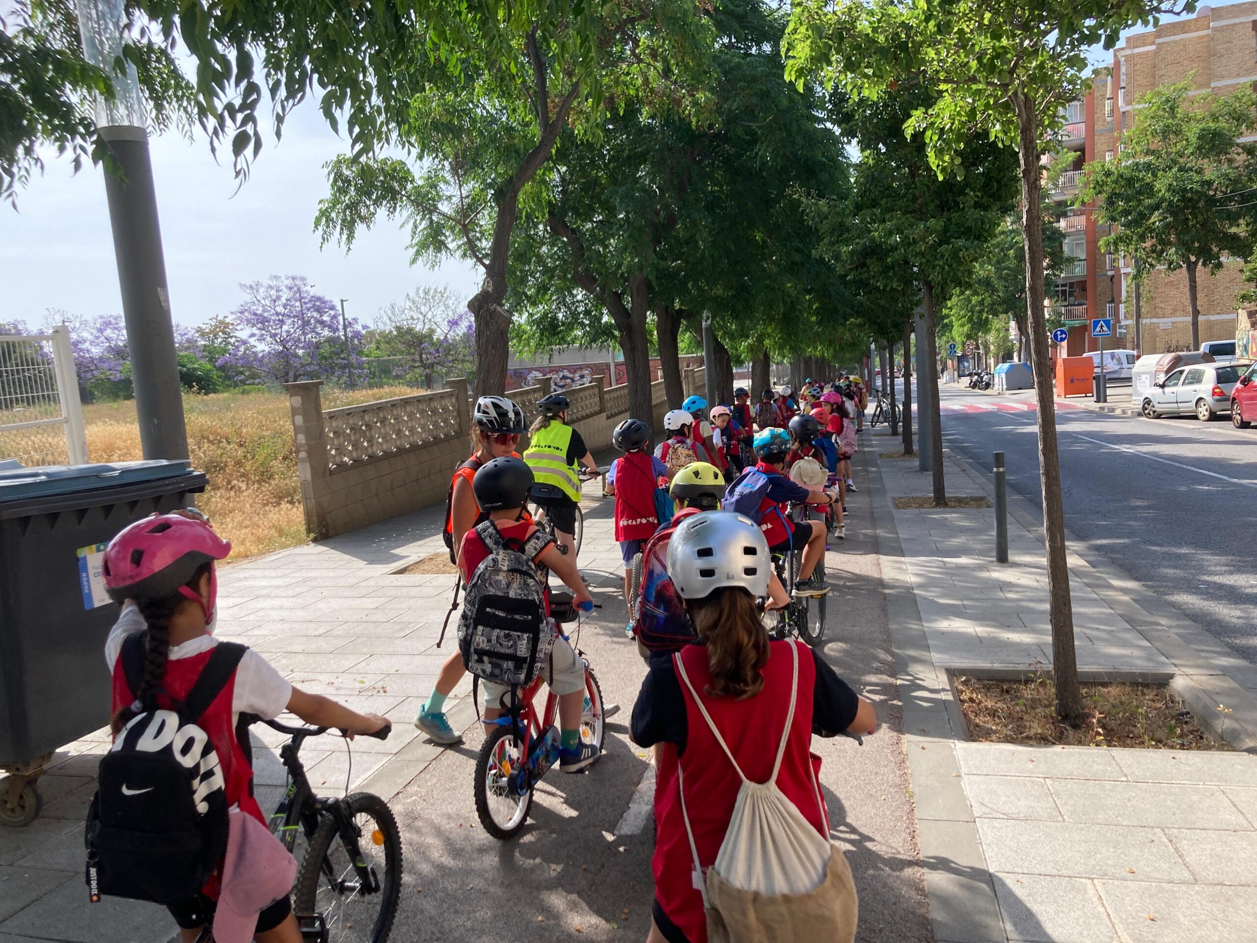 WhatsApp Image 2025-06-15 at 08.05.49 (1)